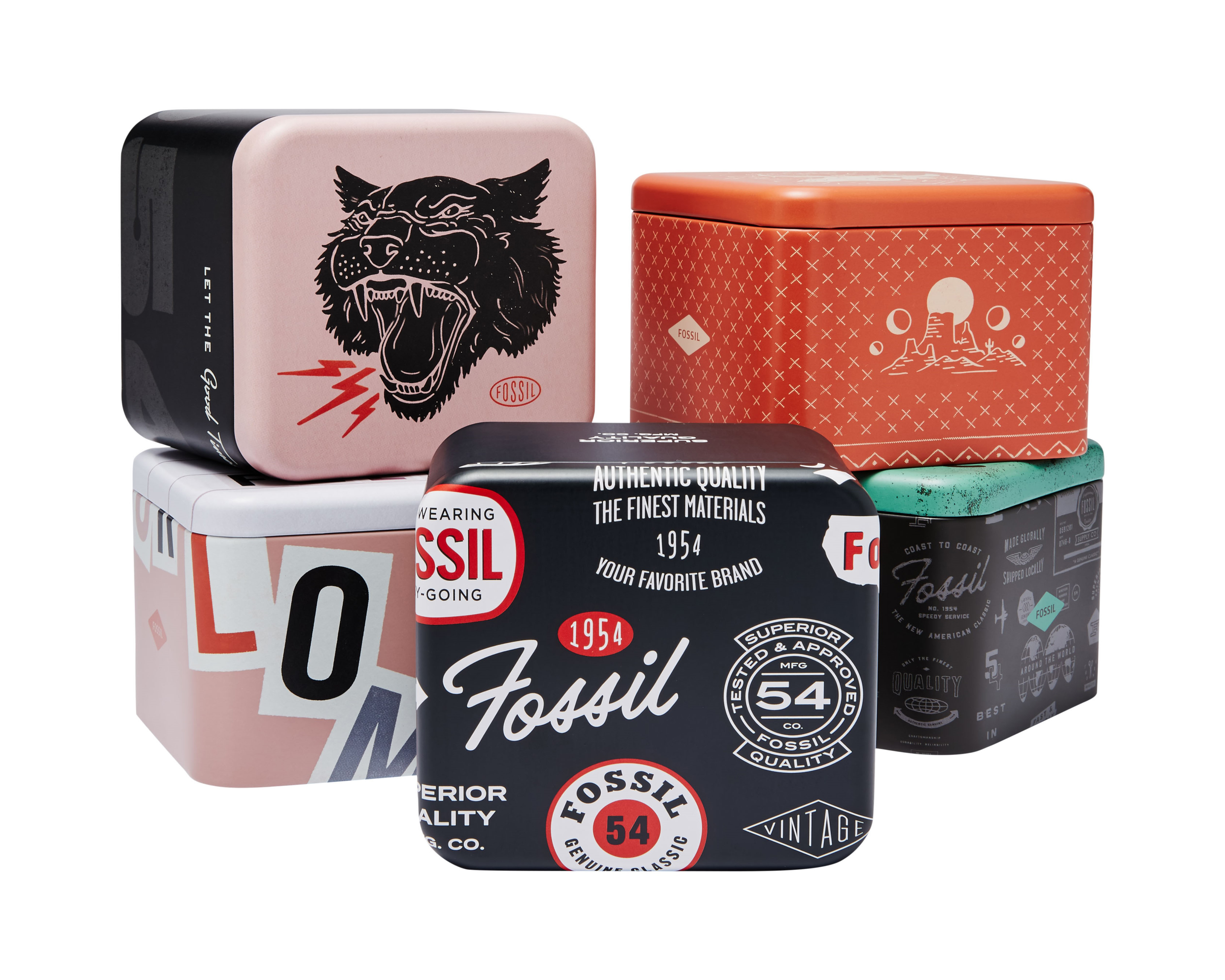 Foto 5 | Foto 5 | Reloj Fossil FS6050 Plateado