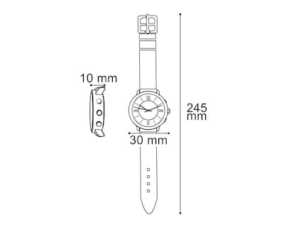 Foto 6 | Foto 6 | Reloj para Mujer Sahara Gris SHR-9374-24