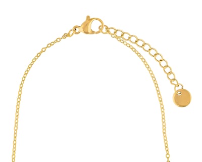 Foto 3 | Foto 3 | Collar de Acero Inoxidable Plafer