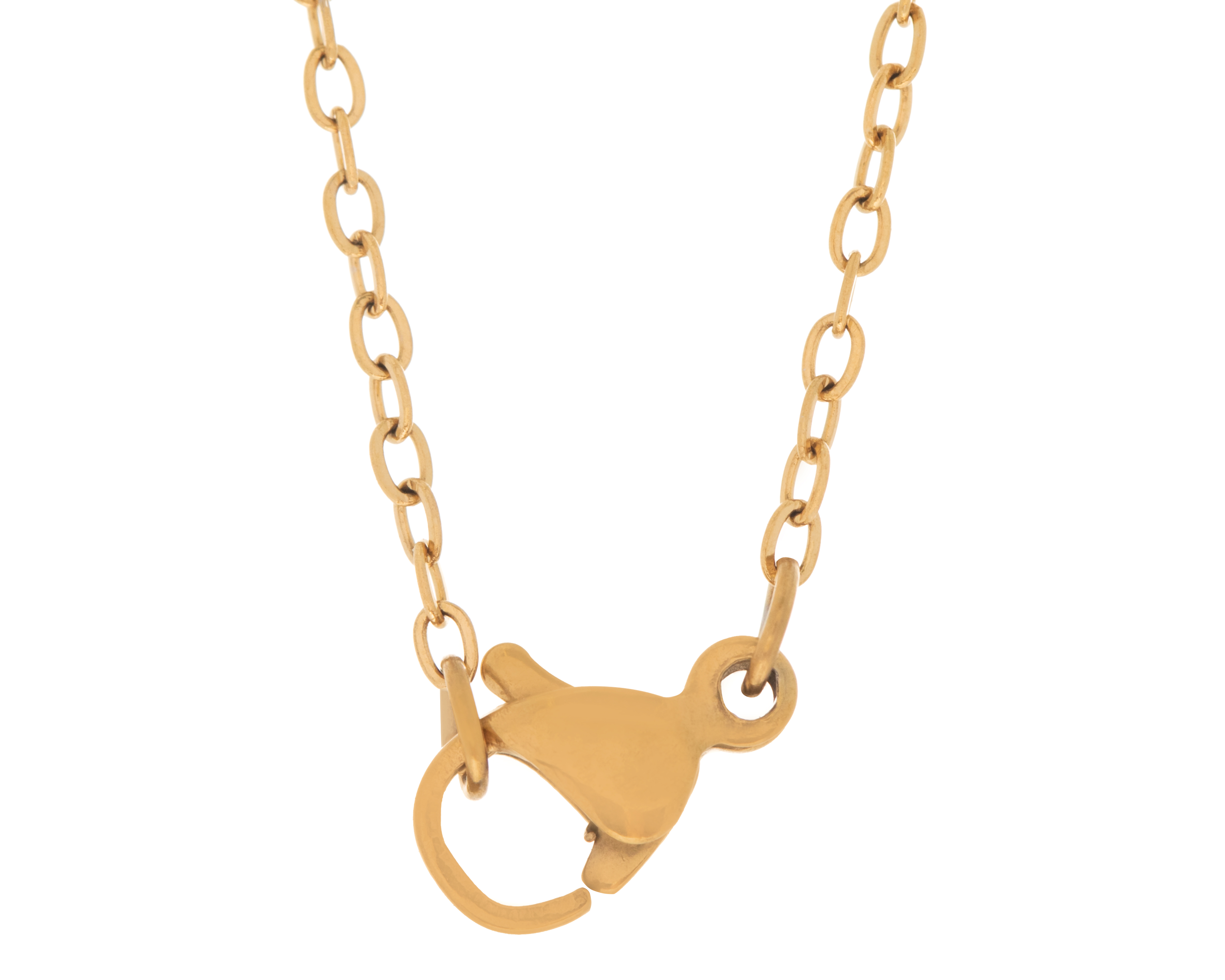 Foto 5 pulgar | Foto 4 | Collar Chapa de Oro 18k Ason