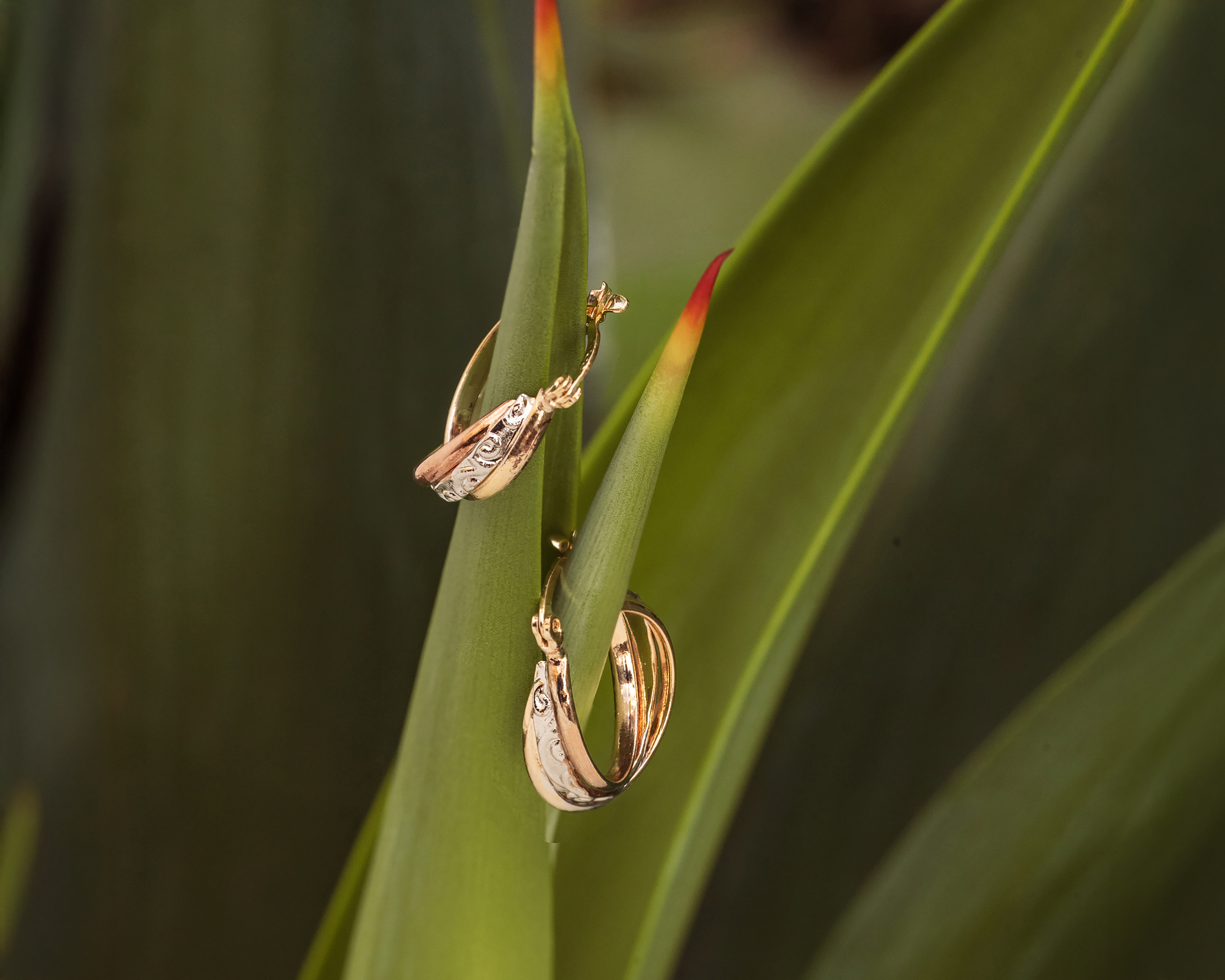 Foto 6 | Foto 6 | Aretes de Chapa de Oro 18k Plafer