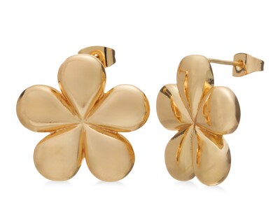 Foto 1 | Foto 1 | Aretes Chapa de Oro Sentimientos