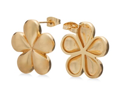 Foto 2 | Foto 2 | Aretes Chapa de Oro Sentimientos