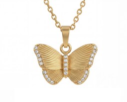 Collar de Acero Inoxidable