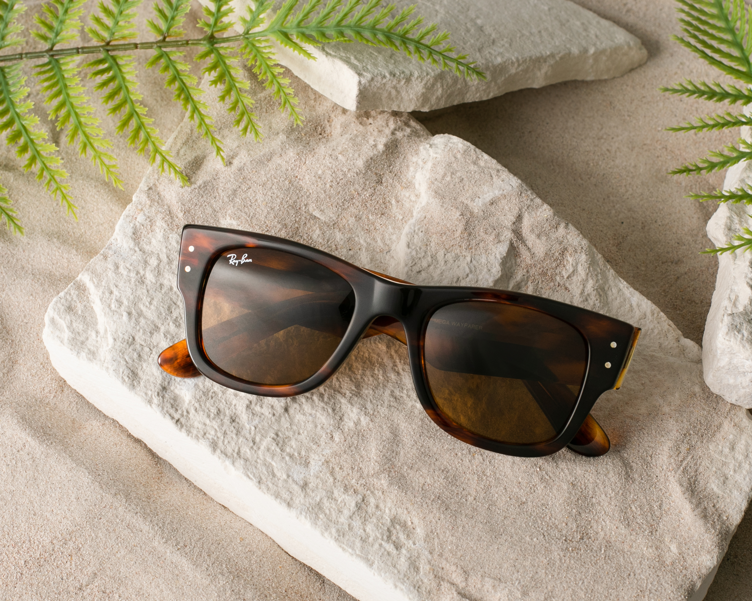Foto 5 | Foto 5 | Lentes de Sol Ray-Ban Wayfarer Café