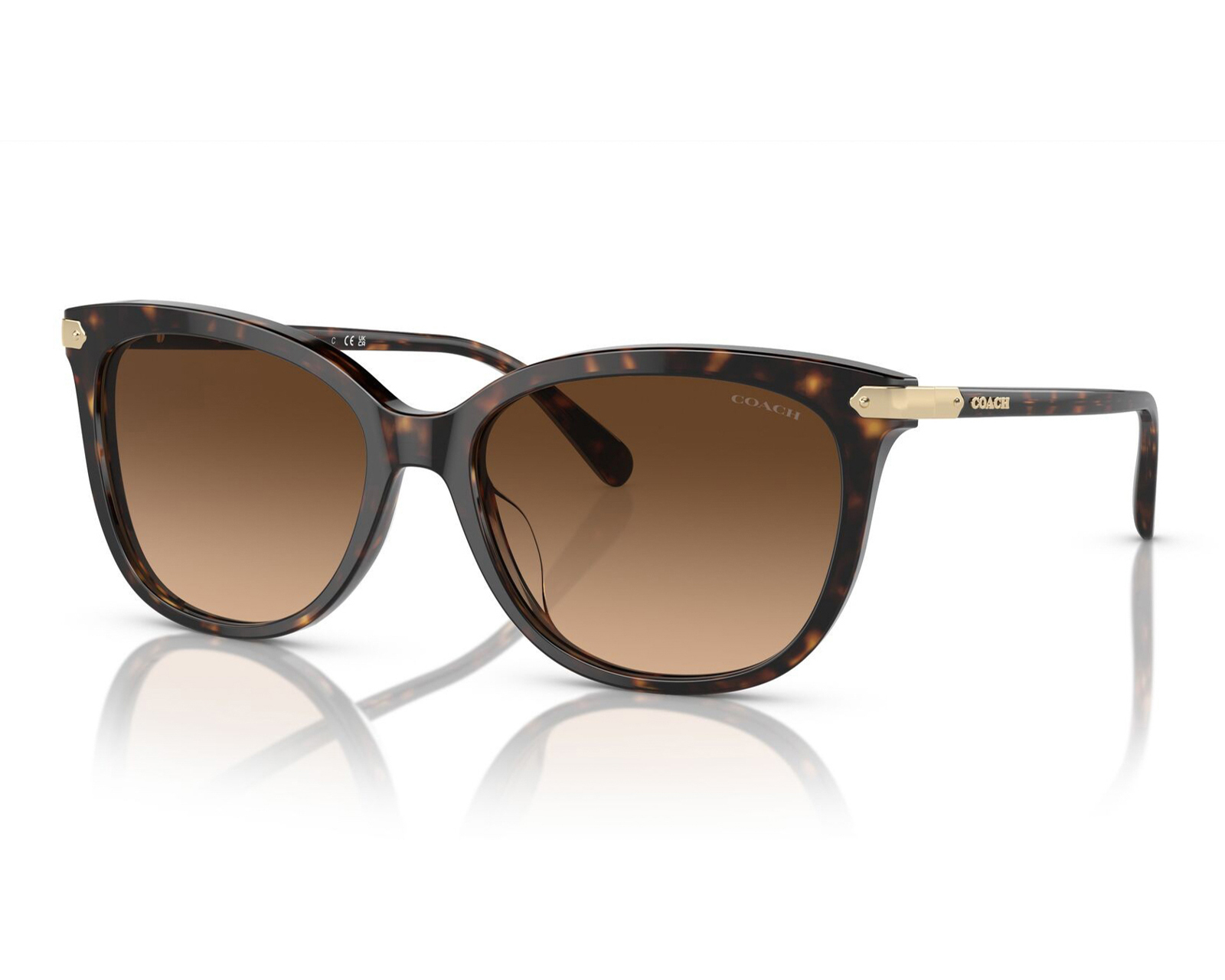 Lentes de Sol para Mujer Coach Dark Tortoise Wayfarer Café