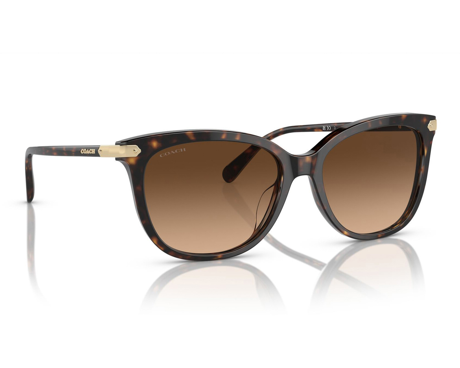Lentes de Sol para Mujer Coach Wayfarer 0HC8408U 584174 Café