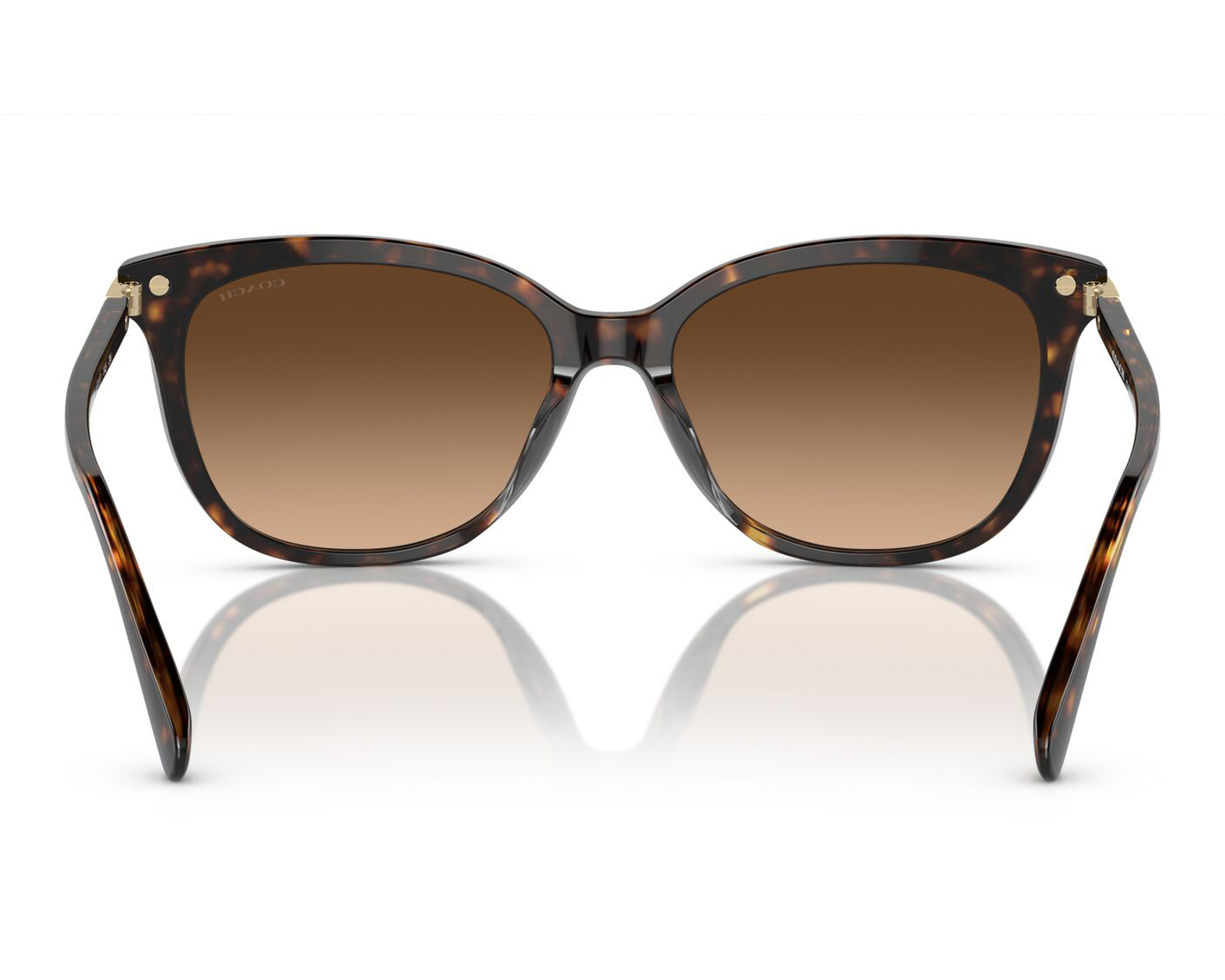 Foto 4 pulgar | Foto 3 | Lentes de Sol para Mujer Coach Dark Tortoise Wayfarer Café