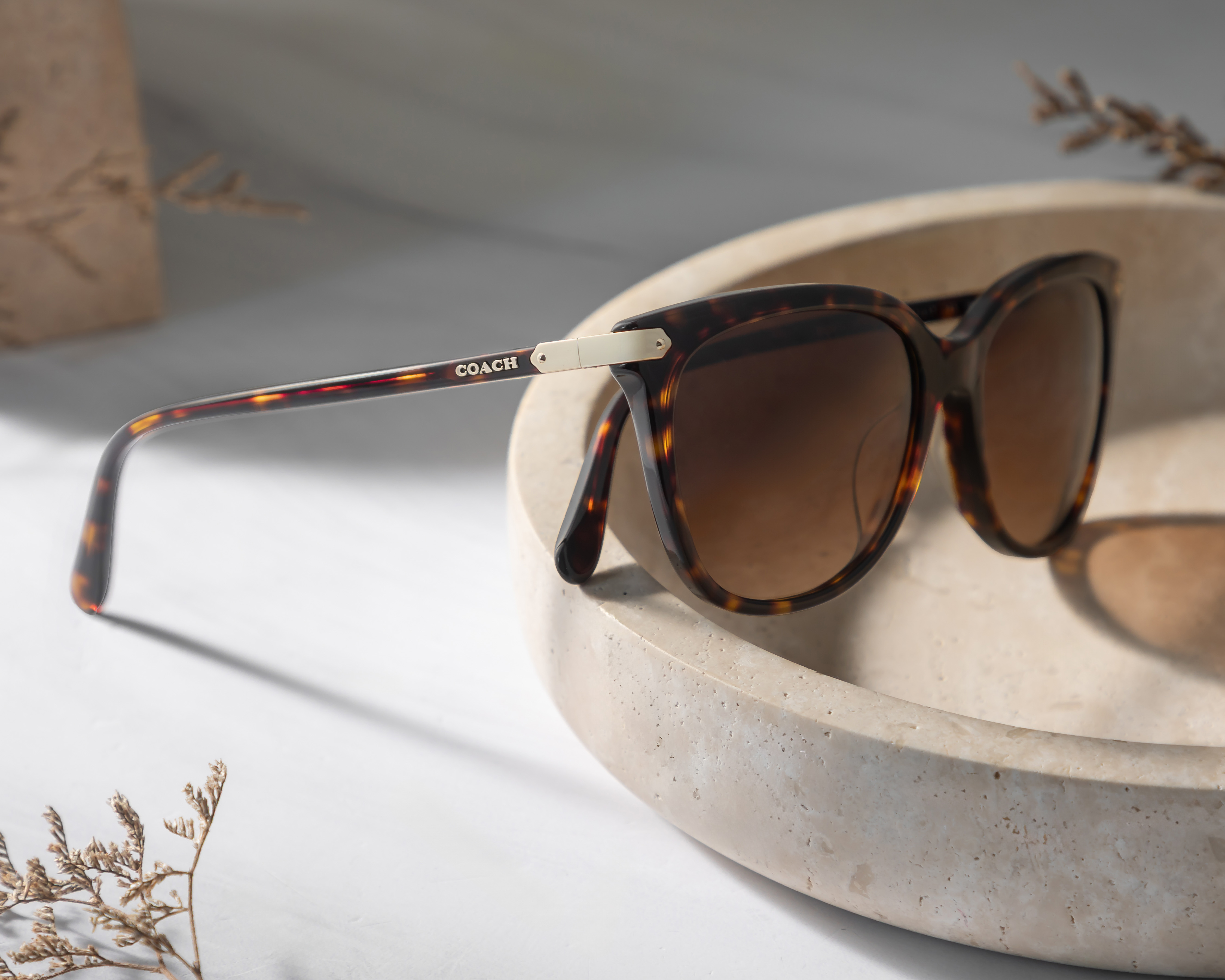 Foto 6 | Foto 6 | Lentes de Sol para Mujer Coach Dark Tortoise Wayfarer Café