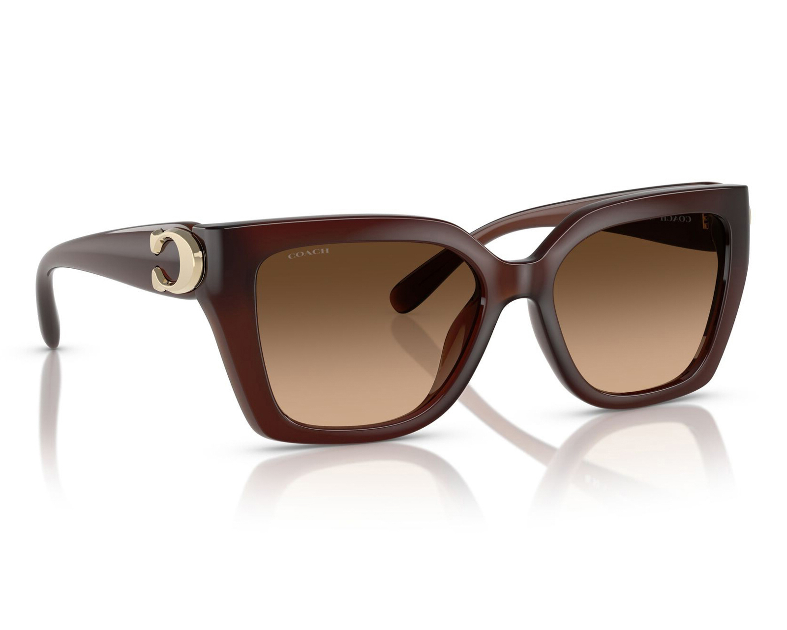 Lentes de Sol para Mujer Coach Wayfarer 0HC8408U 584174 Cafes