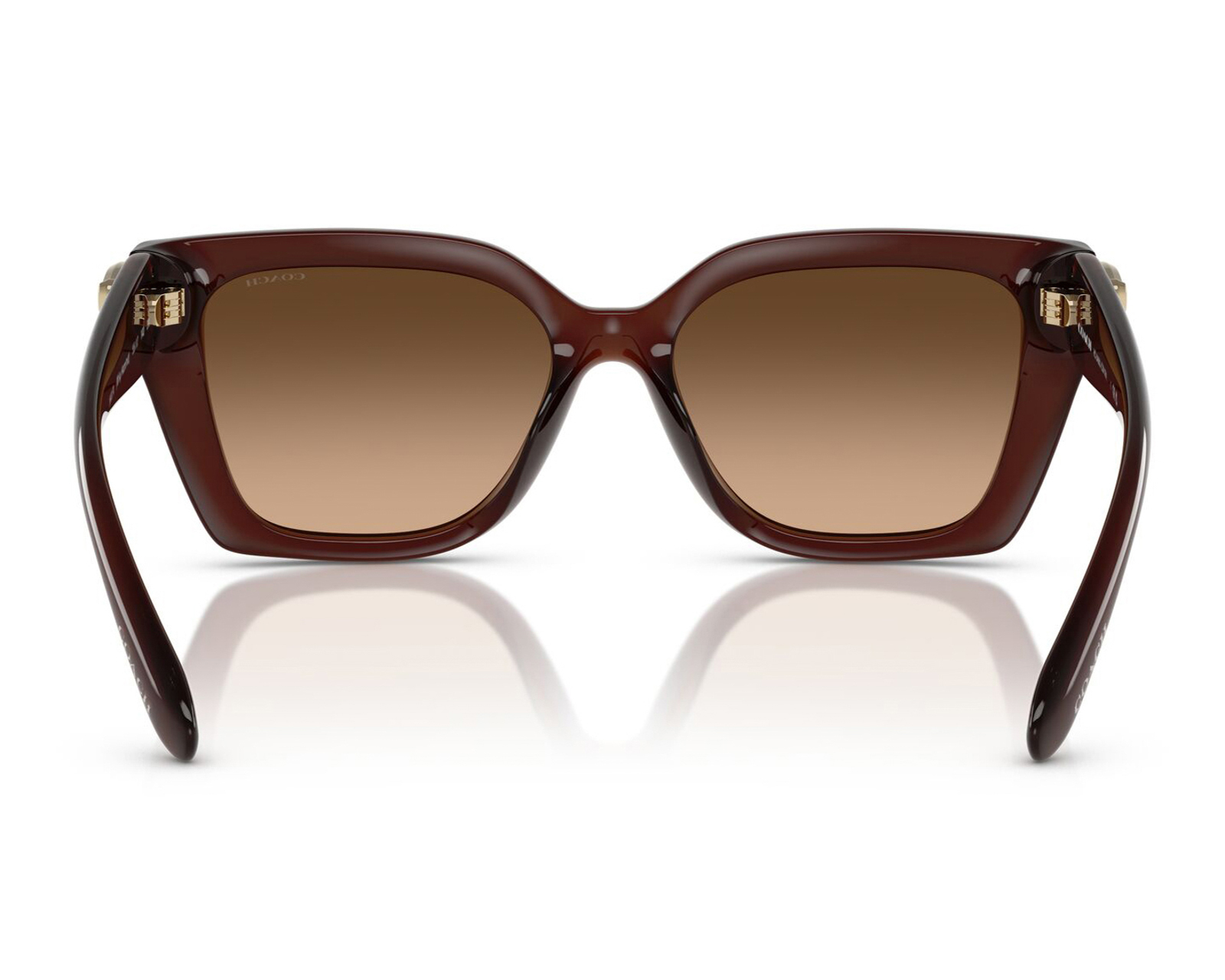 Foto 3 | Foto 3 | Lentes de Sol para Mujer Coach Wayfarer Café