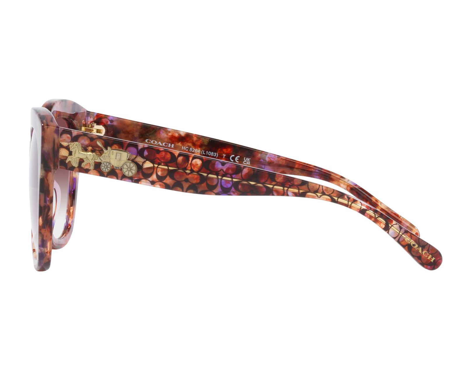 Foto 5 pulgar | Foto 4 | Lentes de Sol para Mujer Coach Redondos Café