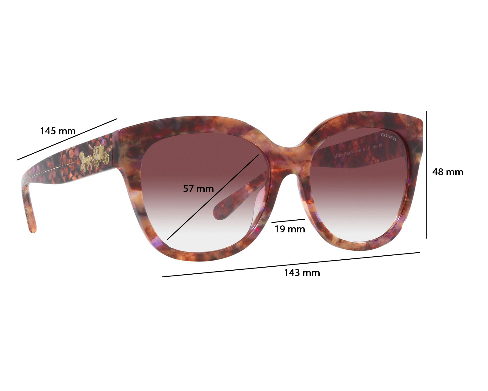 Foto 7 | Foto 7 | Lentes de Sol para Mujer Coach Redondos Café