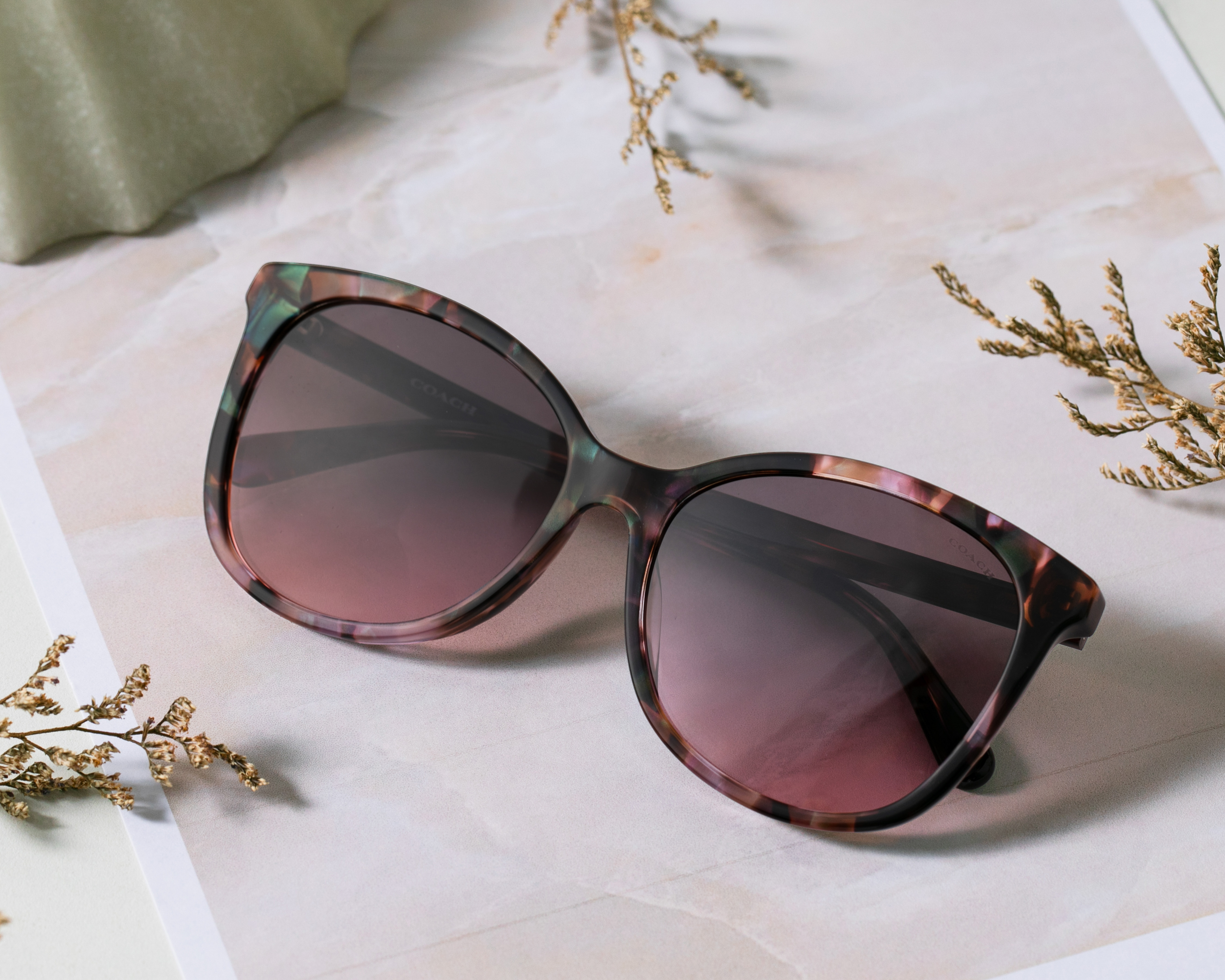 Foto 6 | Foto 6 | Lentes de Sol para Mujer Coach Redondos Morados