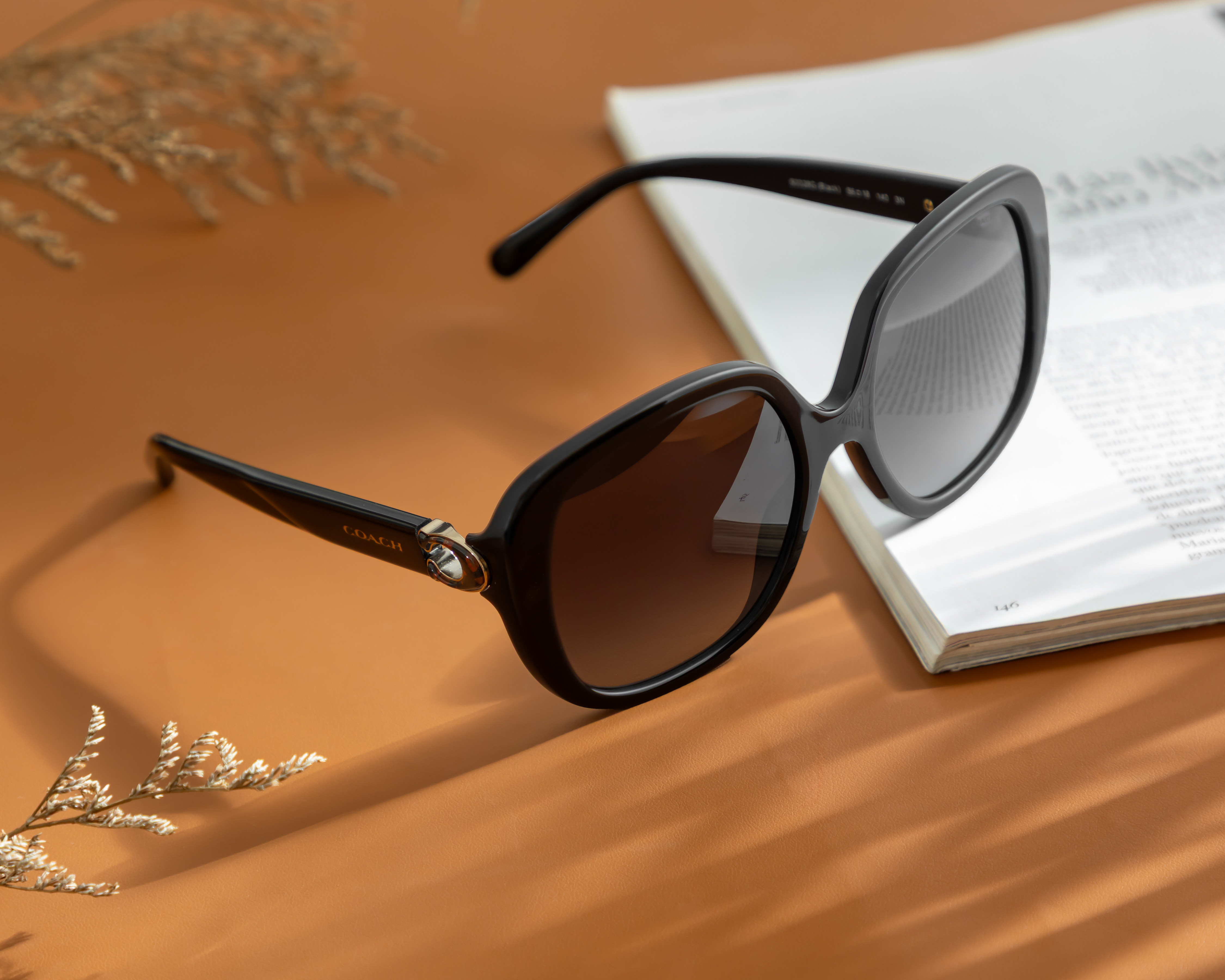 Foto 6 | Foto 6 | Lentes de Sol para Mujer Coach Redondos Negro