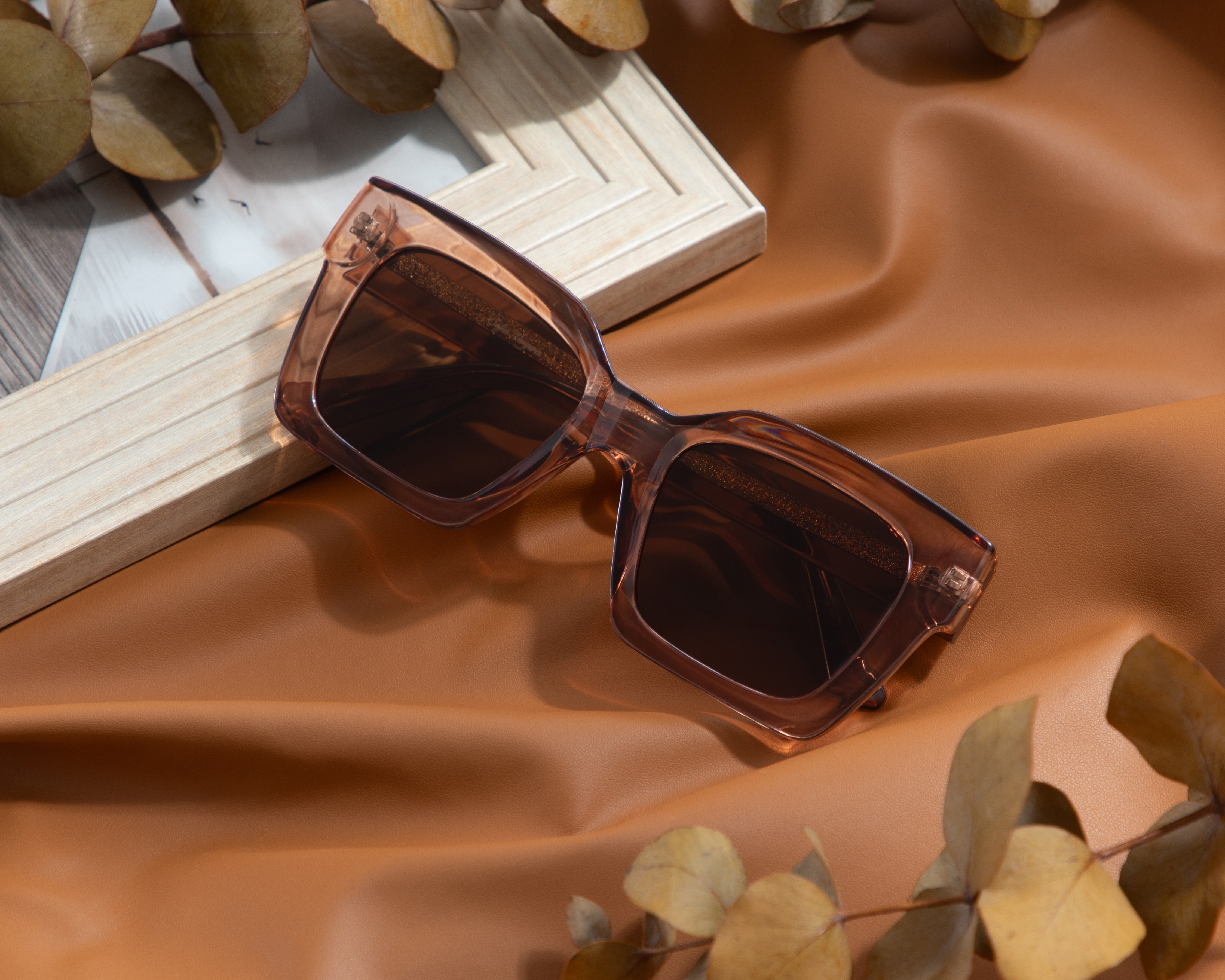 Foto 6 pulgar | Foto 5 | Lentes de Sol para Mujer Sofia Vergara Wayfarer Cafés