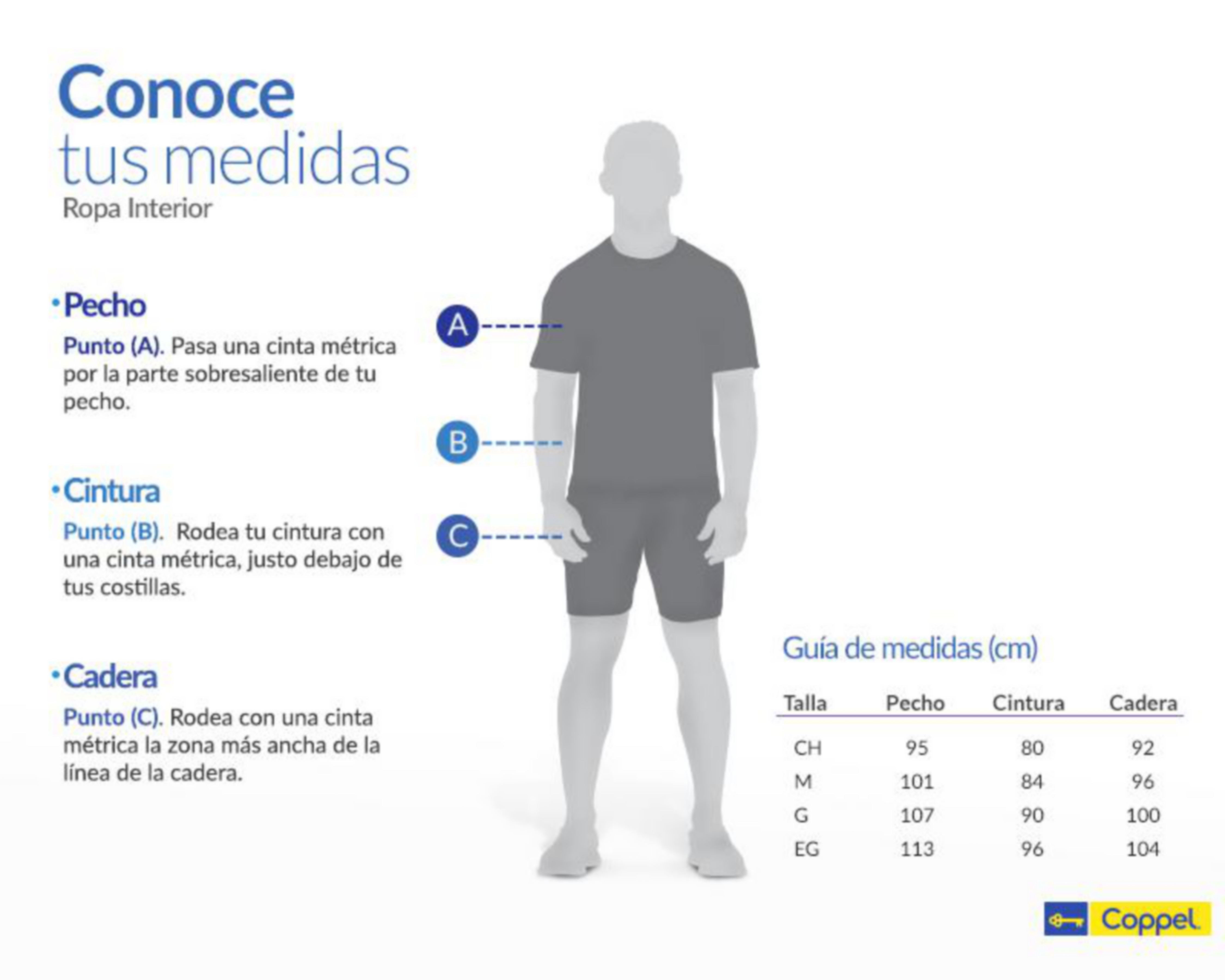 Foto 8 pulgar | Foto 7 | Bóxer Largo HPC Polo 4 Piezas