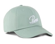 Gorra Curva Puma Essentials Unisex