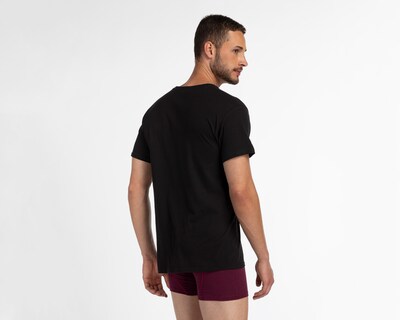 Foto 3 | Foto 3 | Playera Interior Cuello V Hanes 3 Piezas