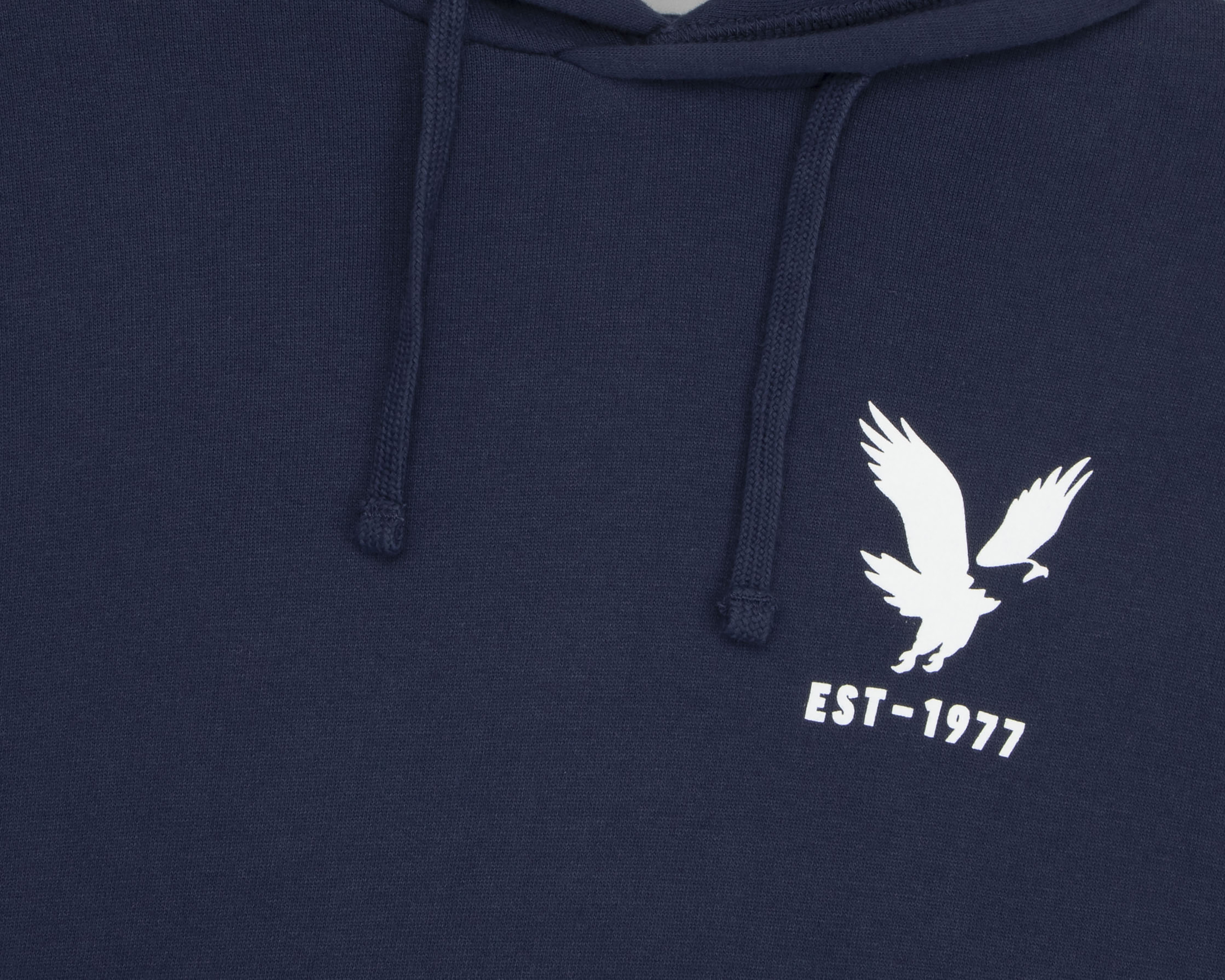 Foto 4 pulgar | Foto 3 | Sudadera American Eagle con Capucha