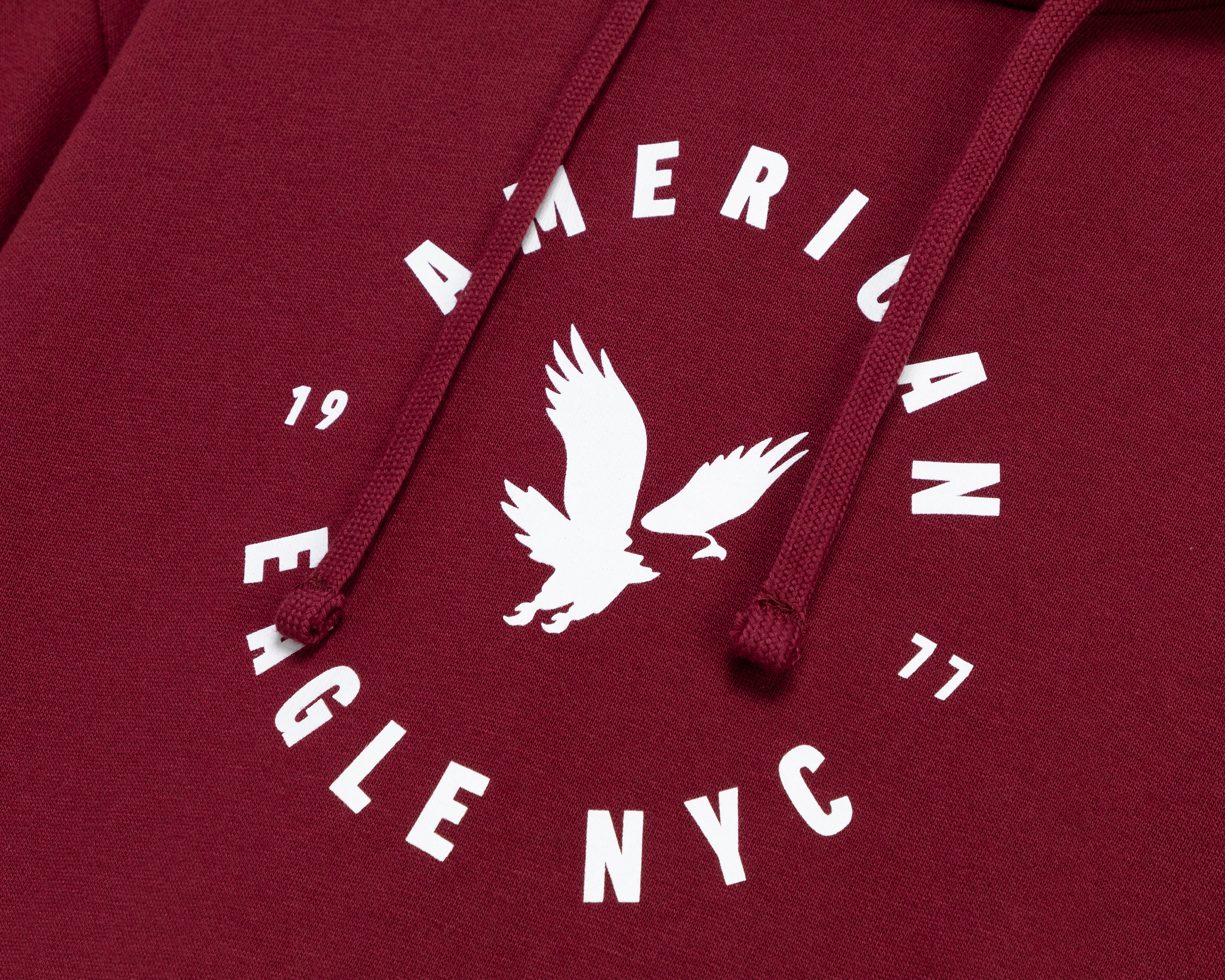 Foto 4 pulgar | Foto 3 | Sudadera American Eagle con Capucha