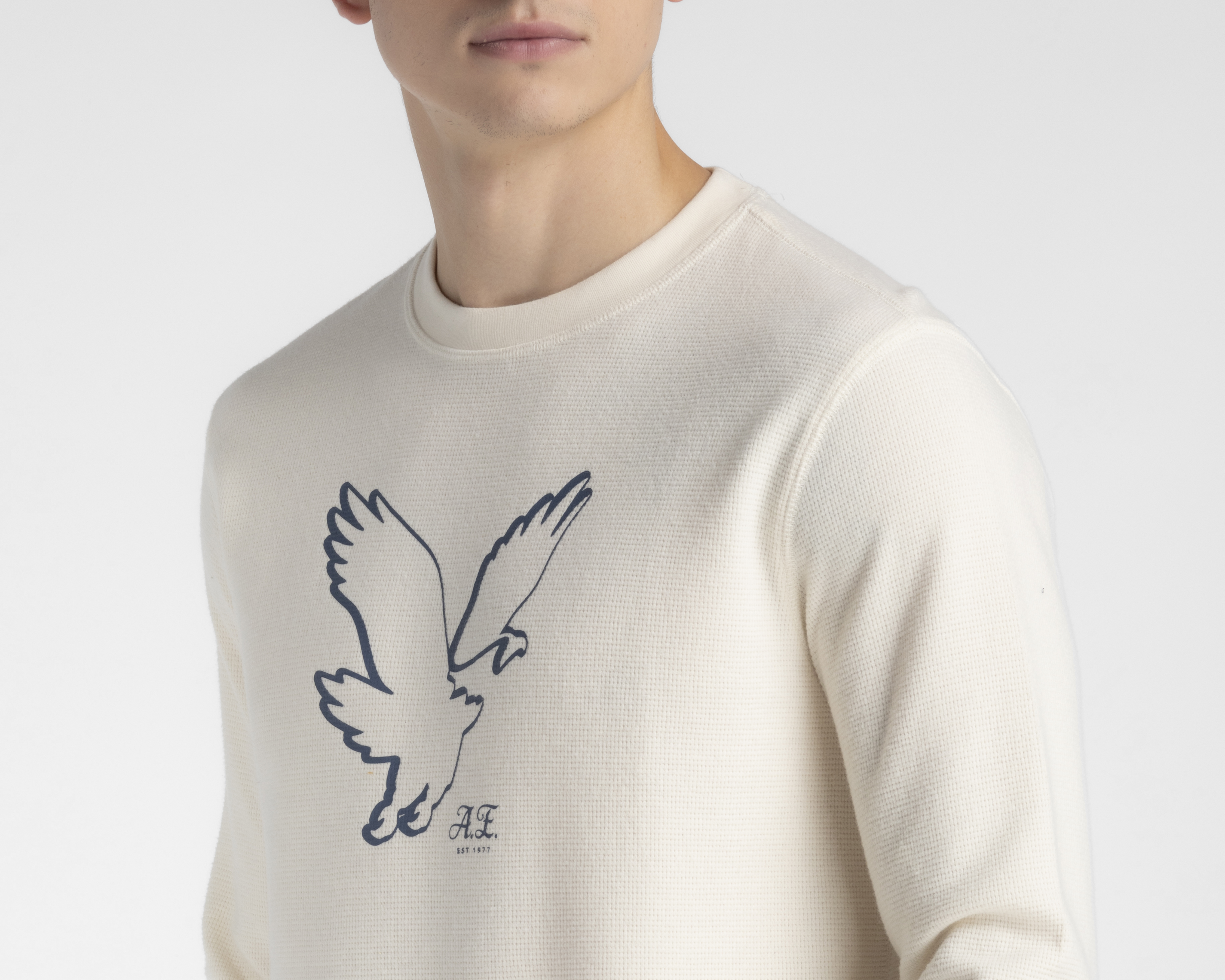 Foto 5 pulgar | Foto 4 | Playera American Eagle Cuello Redondo