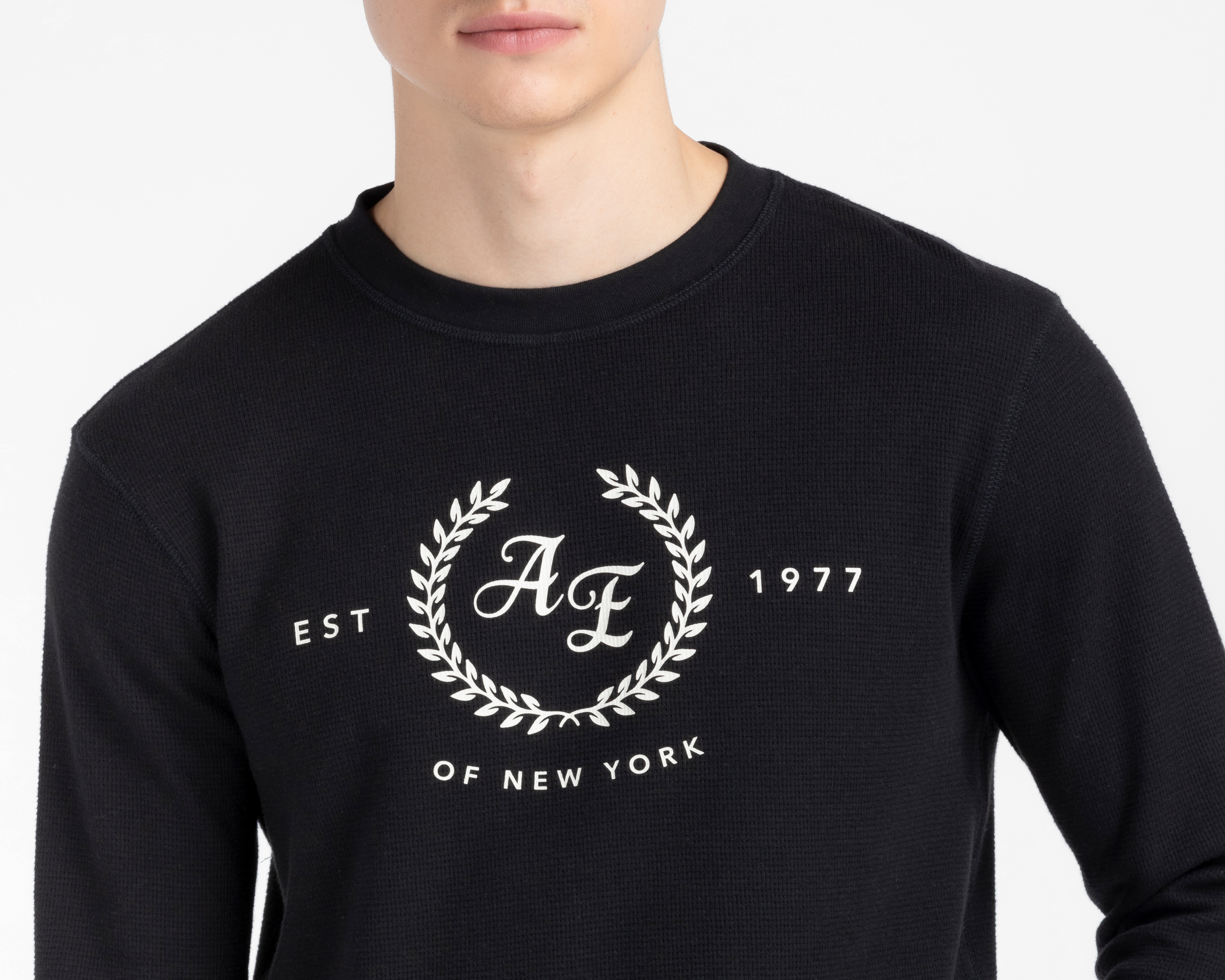 Foto 3 | Foto 3 | Playera American Eagle Cuello Redondo