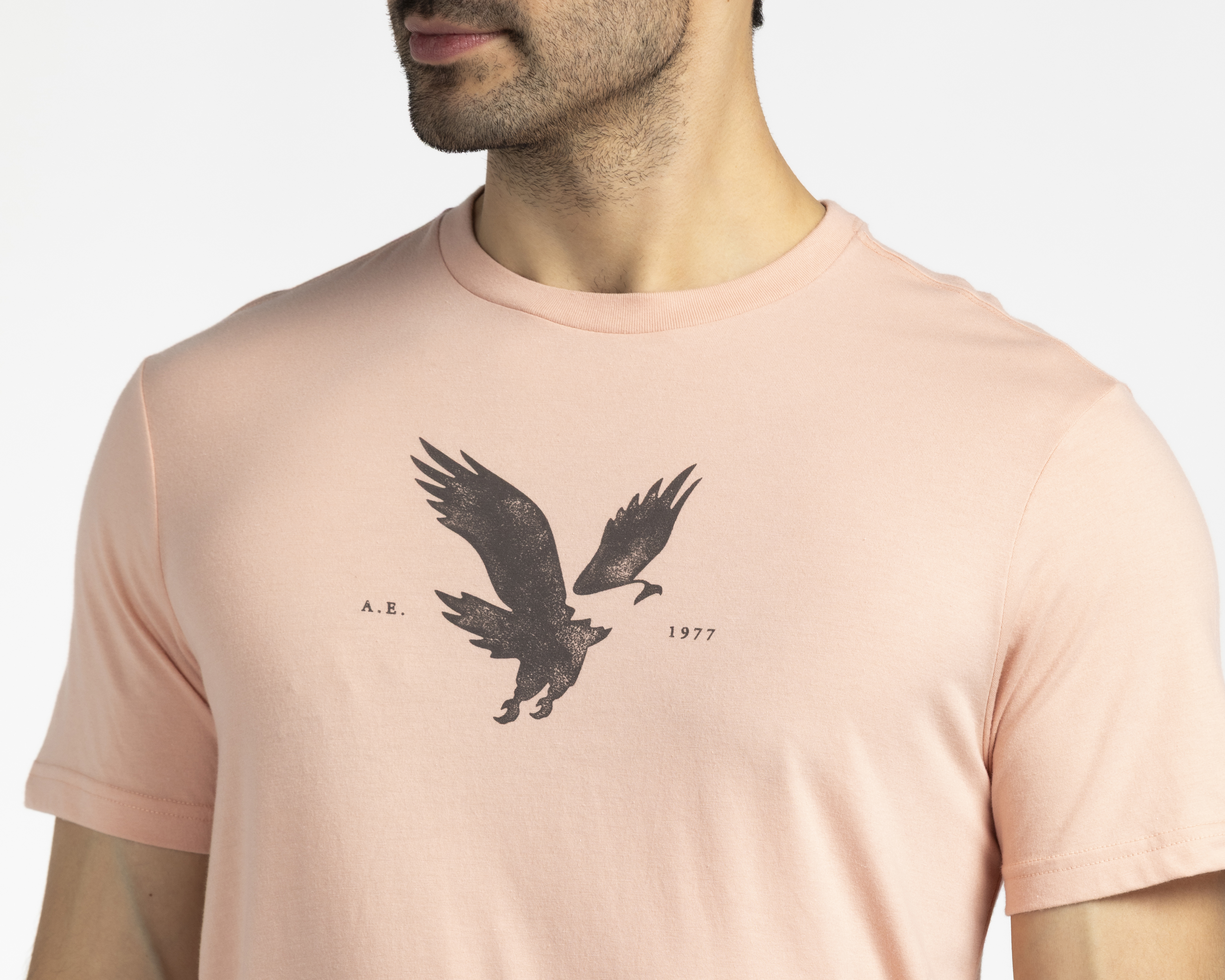 Foto 4 pulgar | Foto 3 | Playera de Cuello Redondo Coral American Eagle para Hombre