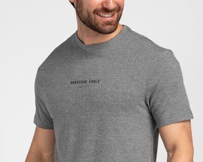 Foto 3 | Foto 3 | Playera de Cuello Redondo Gris American Eagle para Hombre