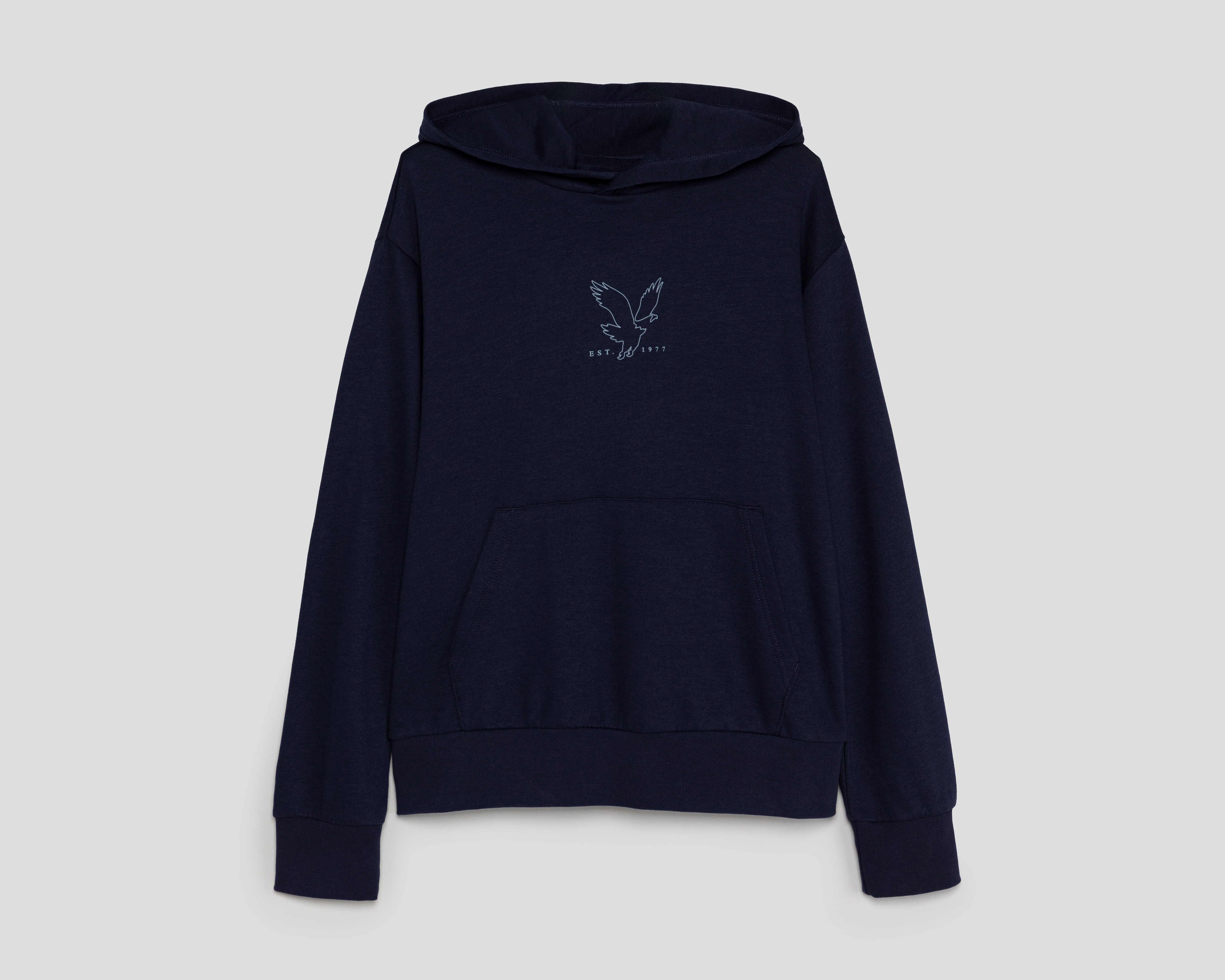 Foto 1 | Foto 1 | Sudadera con Capucha American Eagle para Hombre