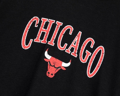 Foto 3 | Foto 3 | Playera NBA Chicago Bulls para Hombre