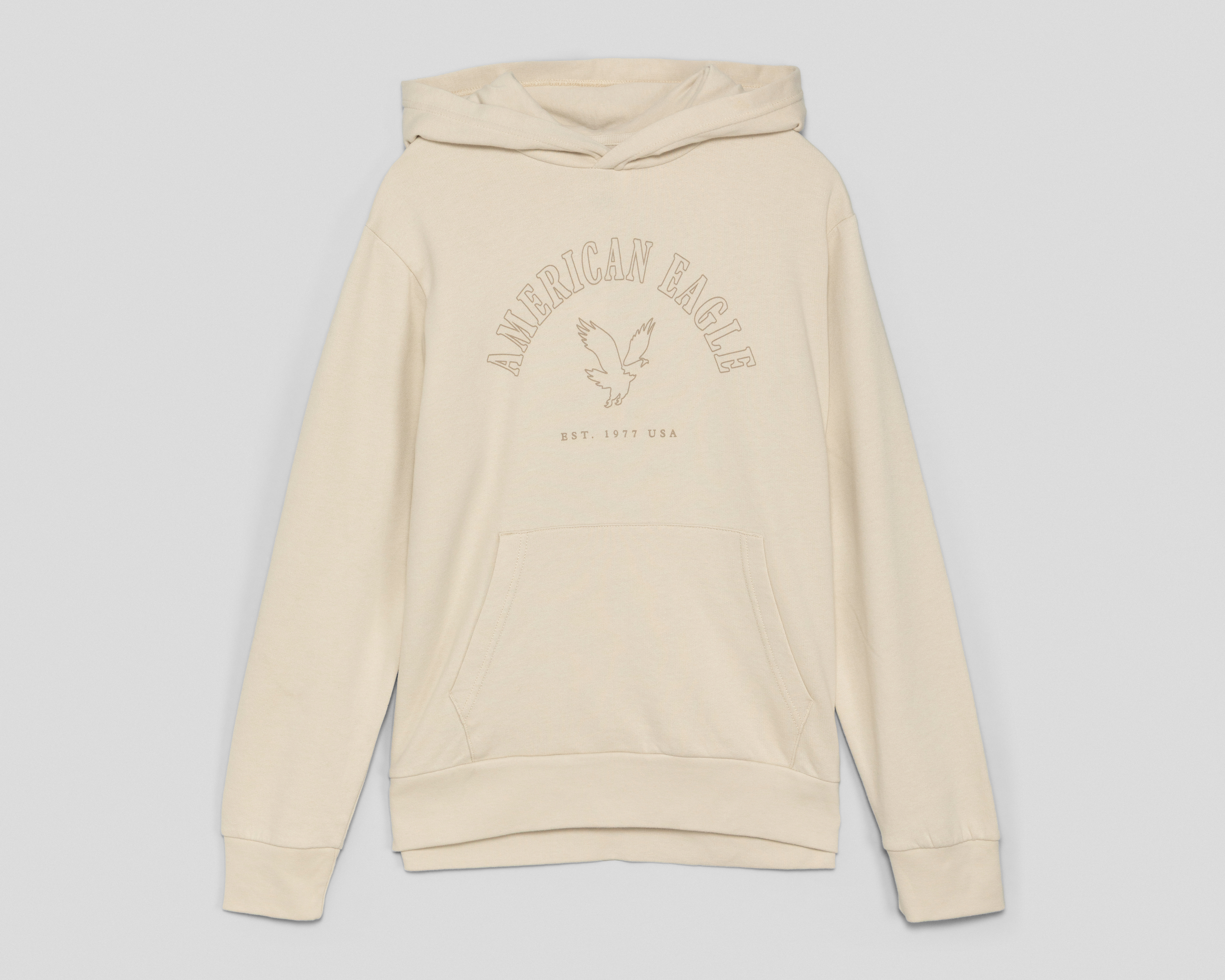 Sudadera con Capucha American Eagle para Hombre