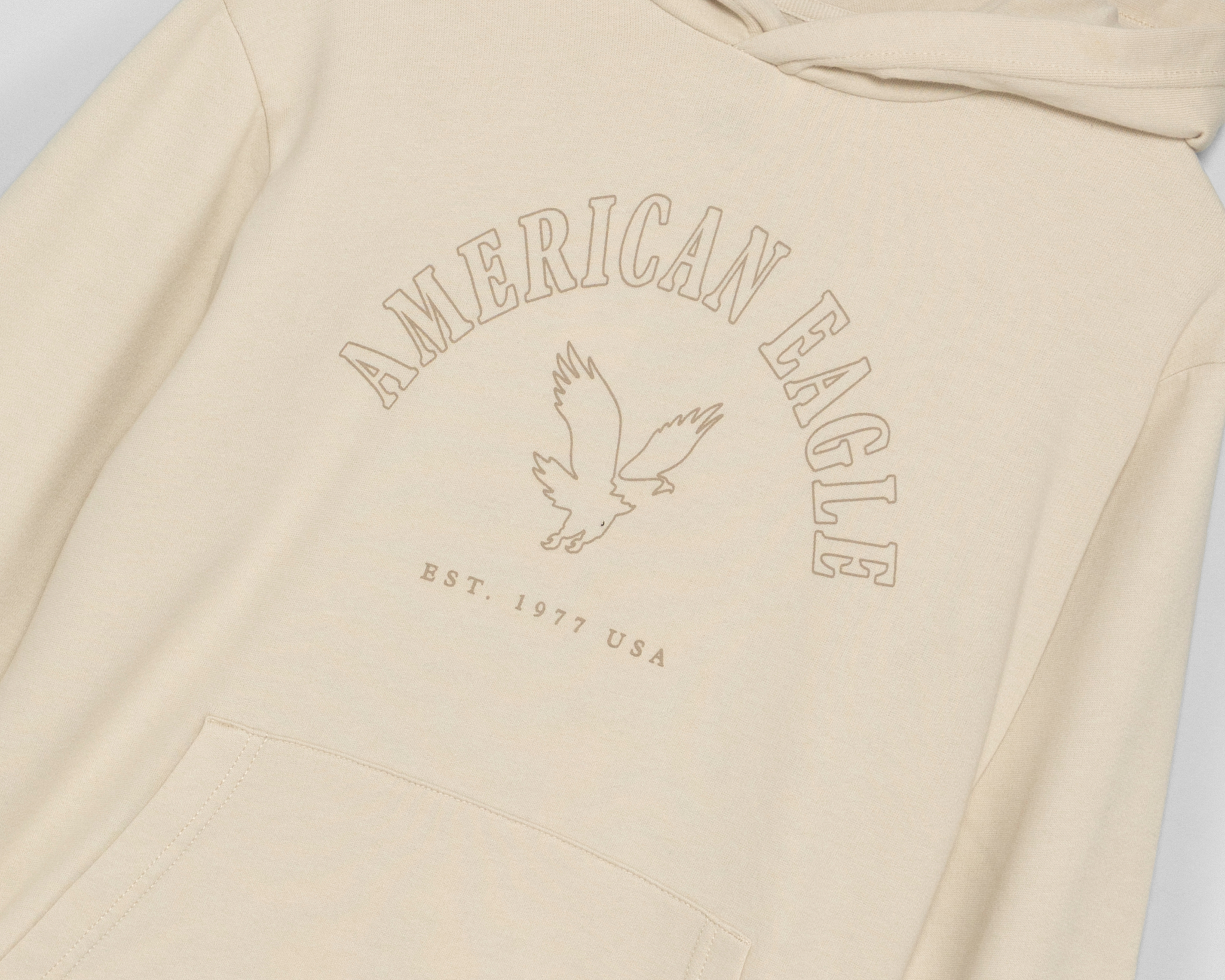 Foto 4 pulgar | Foto 3 | Sudadera con Capucha American Eagle para Hombre