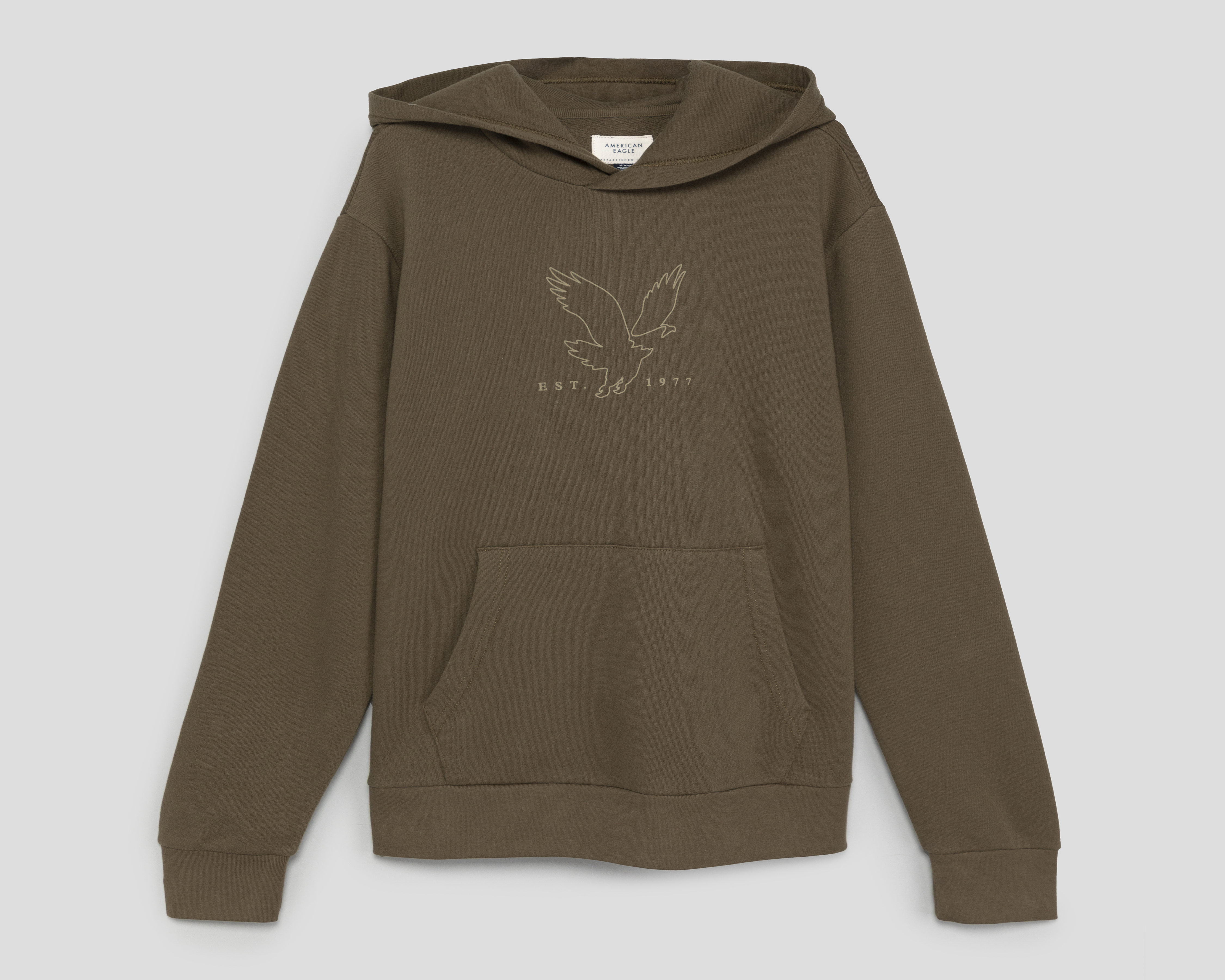 Foto 2 pulgar | Foto 1 | Sudadera con Capucha American Eagle para Hombre