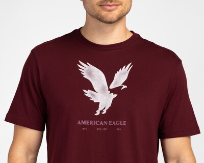 Foto 3 | Foto 3 | Playera Cuello Redondo Vino American Eagle para Hombre