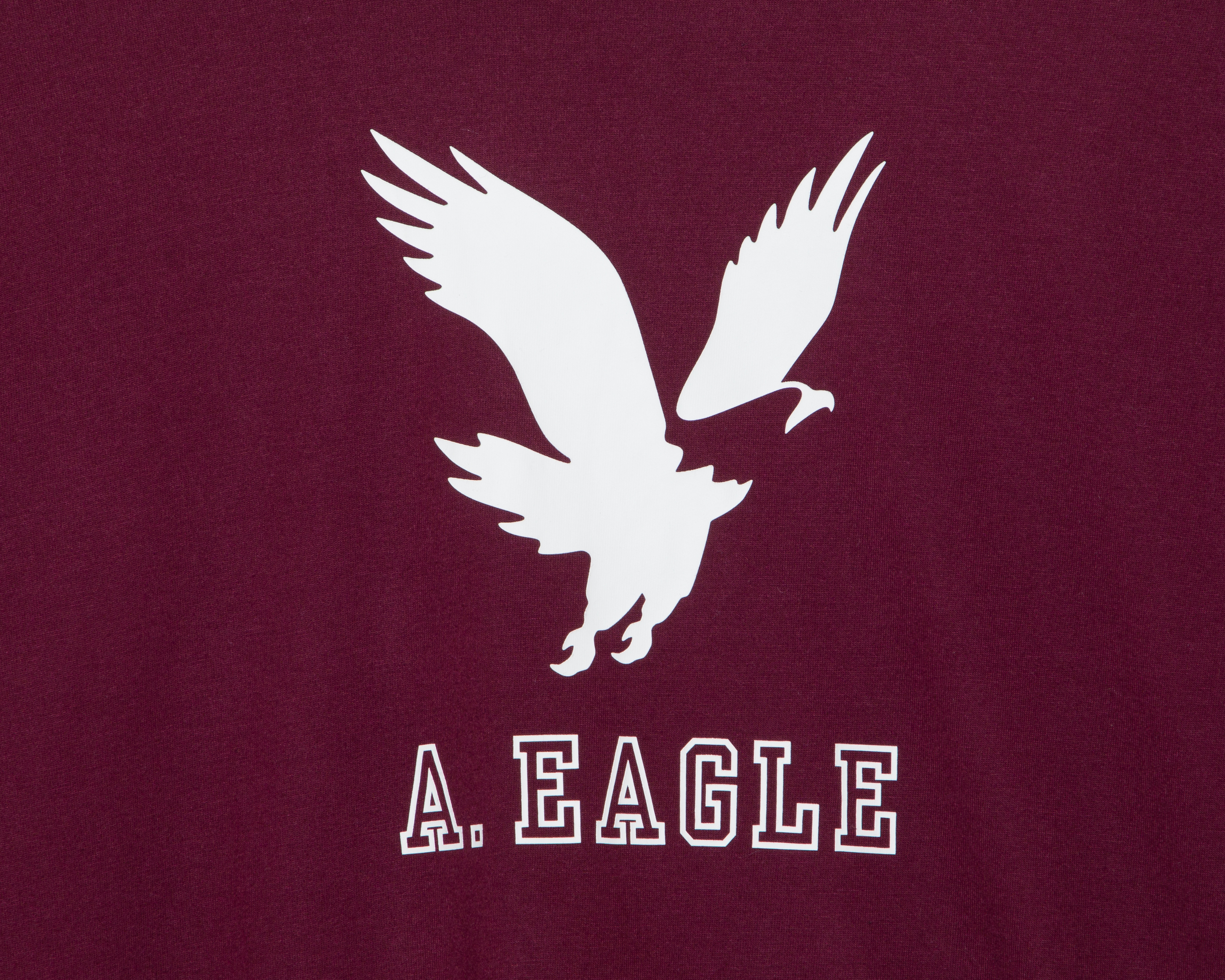 Foto 4 pulgar | Foto 3 | Playera de Cuello Redondo Tinta American Eagle para Hombre