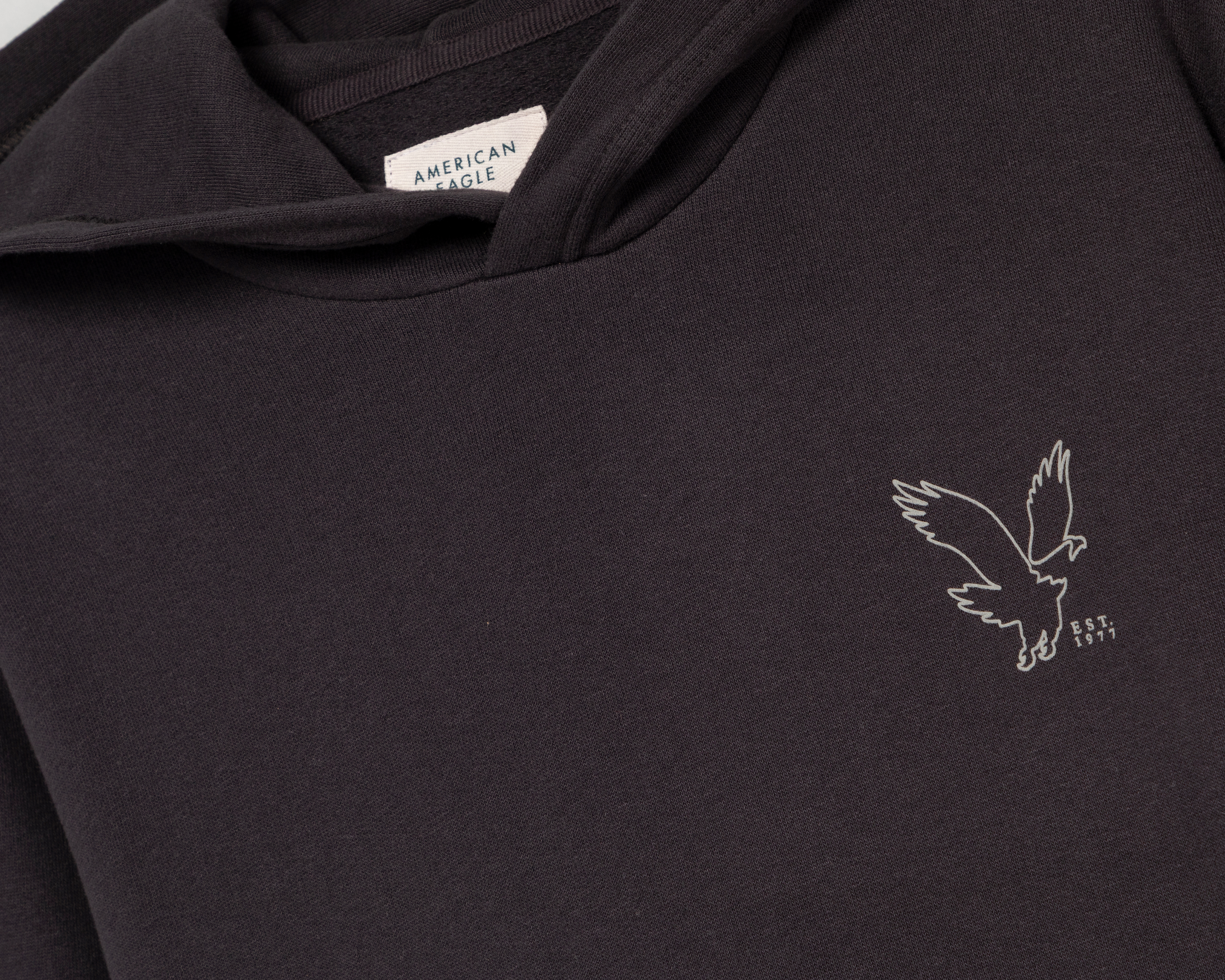 Foto 3 | Foto 3 | Sudadera con Capucha American Eagle Outfitter para Hombre