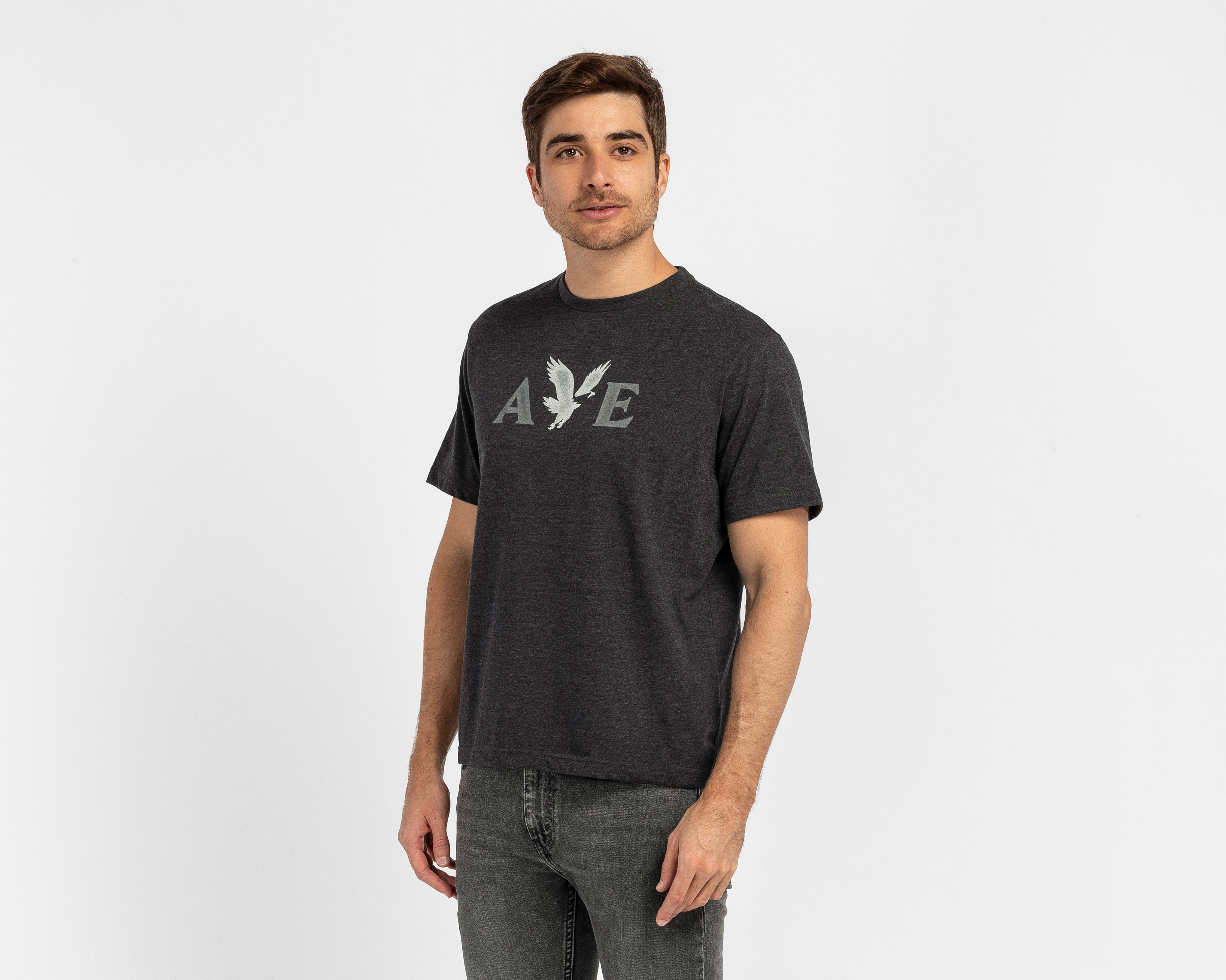 Playera de Cuello Redondo Gris American Eagle para Hombre