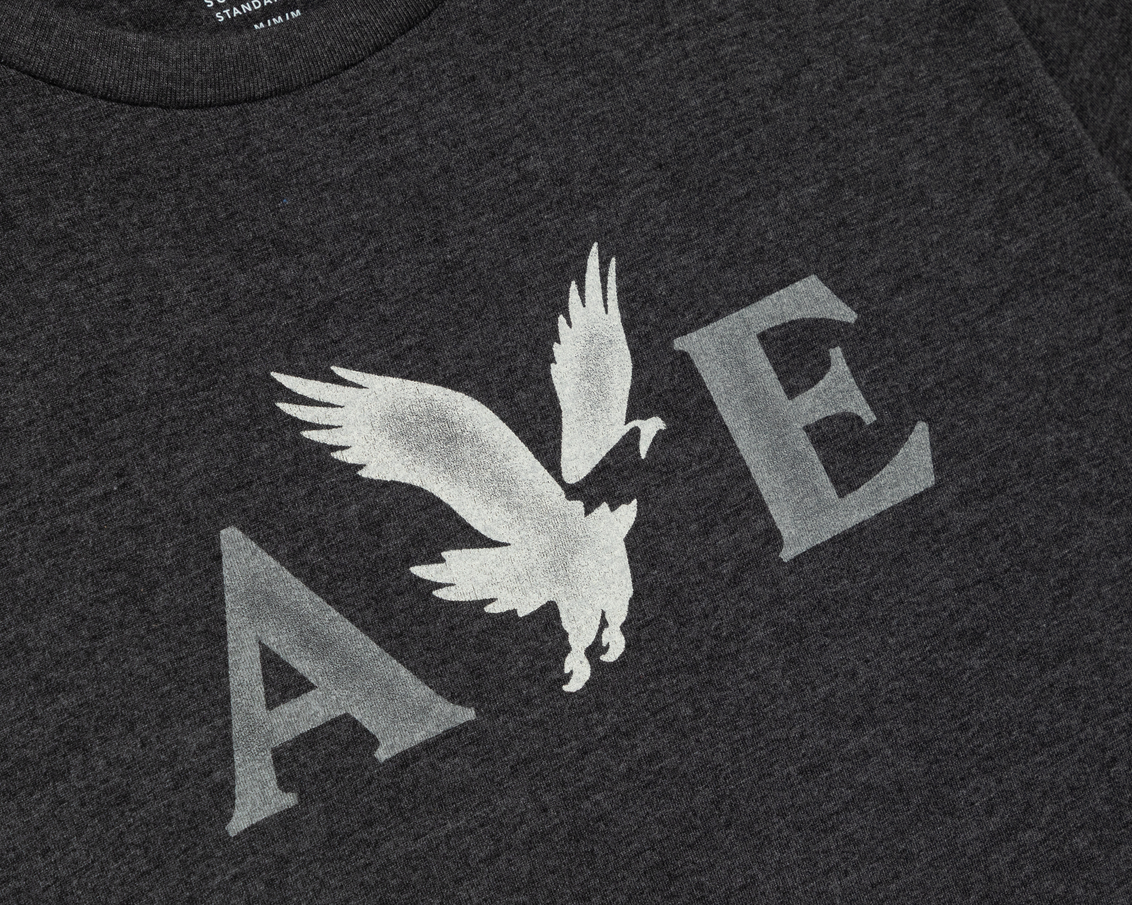 Foto 3 | Foto 3 | Playera de Cuello Redondo Gris American Eagle para Hombre