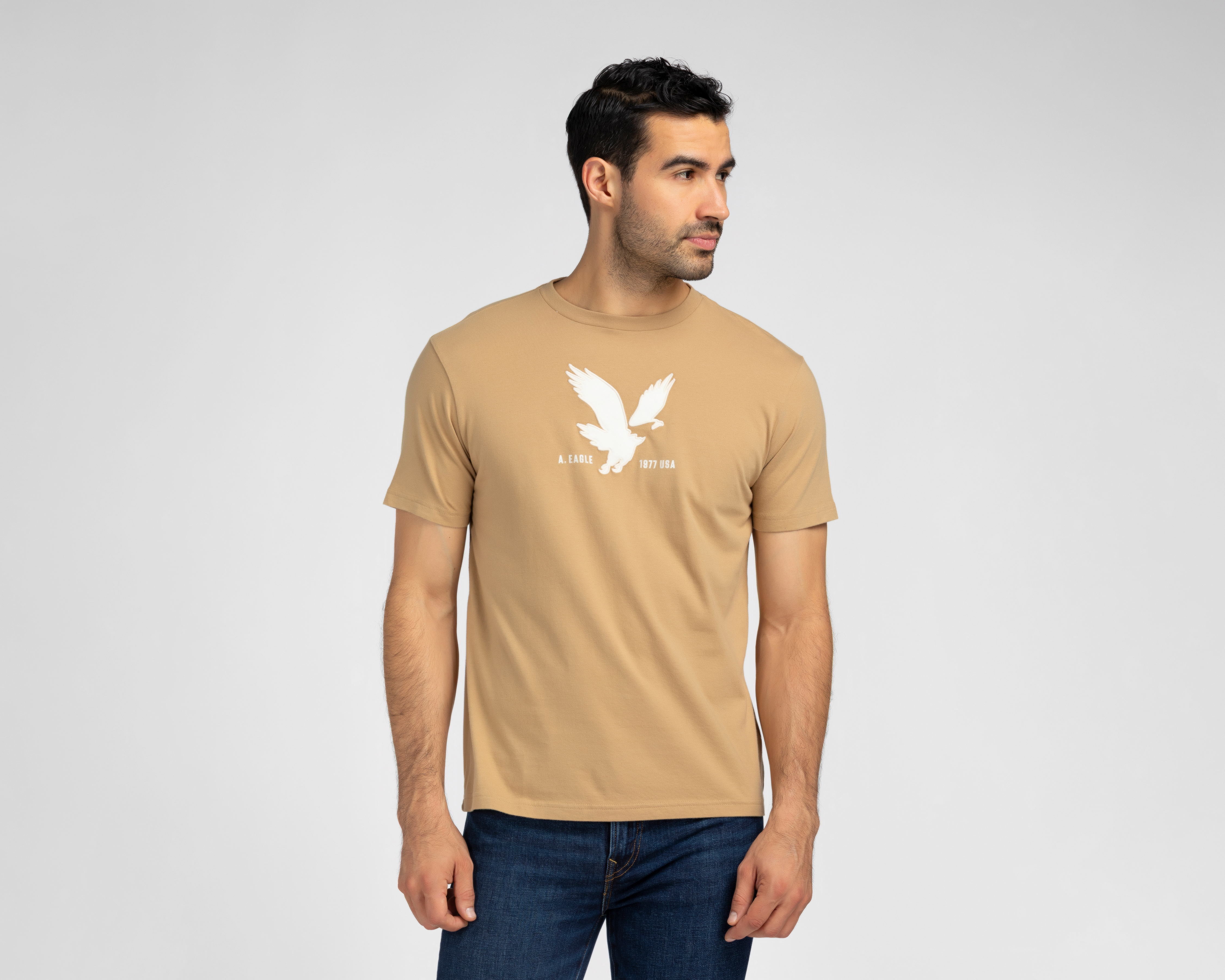 Foto 1 | Foto 1 | Playera de Cuello Redondo Caqui American Eagle para Hombre