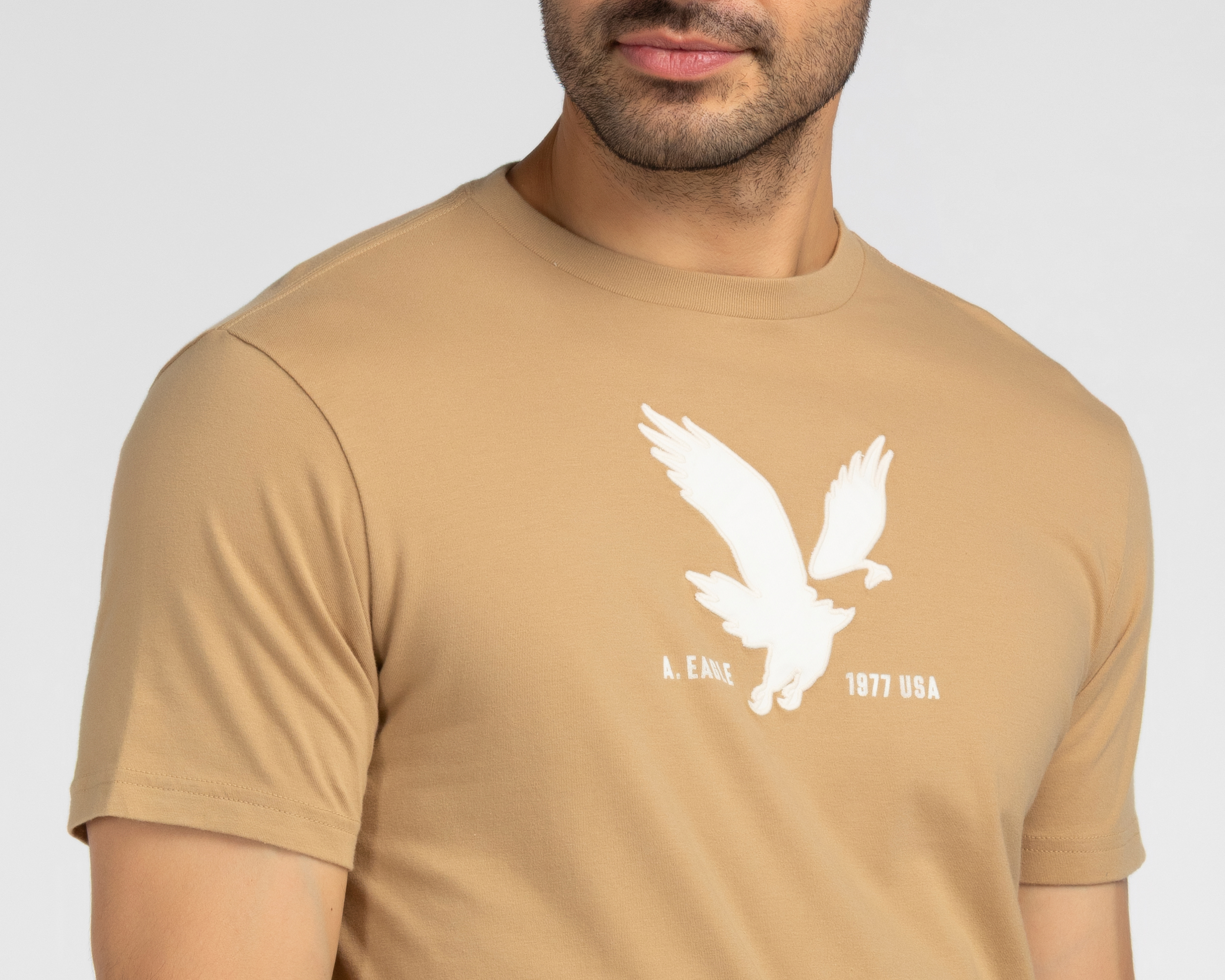 Foto 3 | Foto 3 | Playera de Cuello Redondo Caqui American Eagle para Hombre