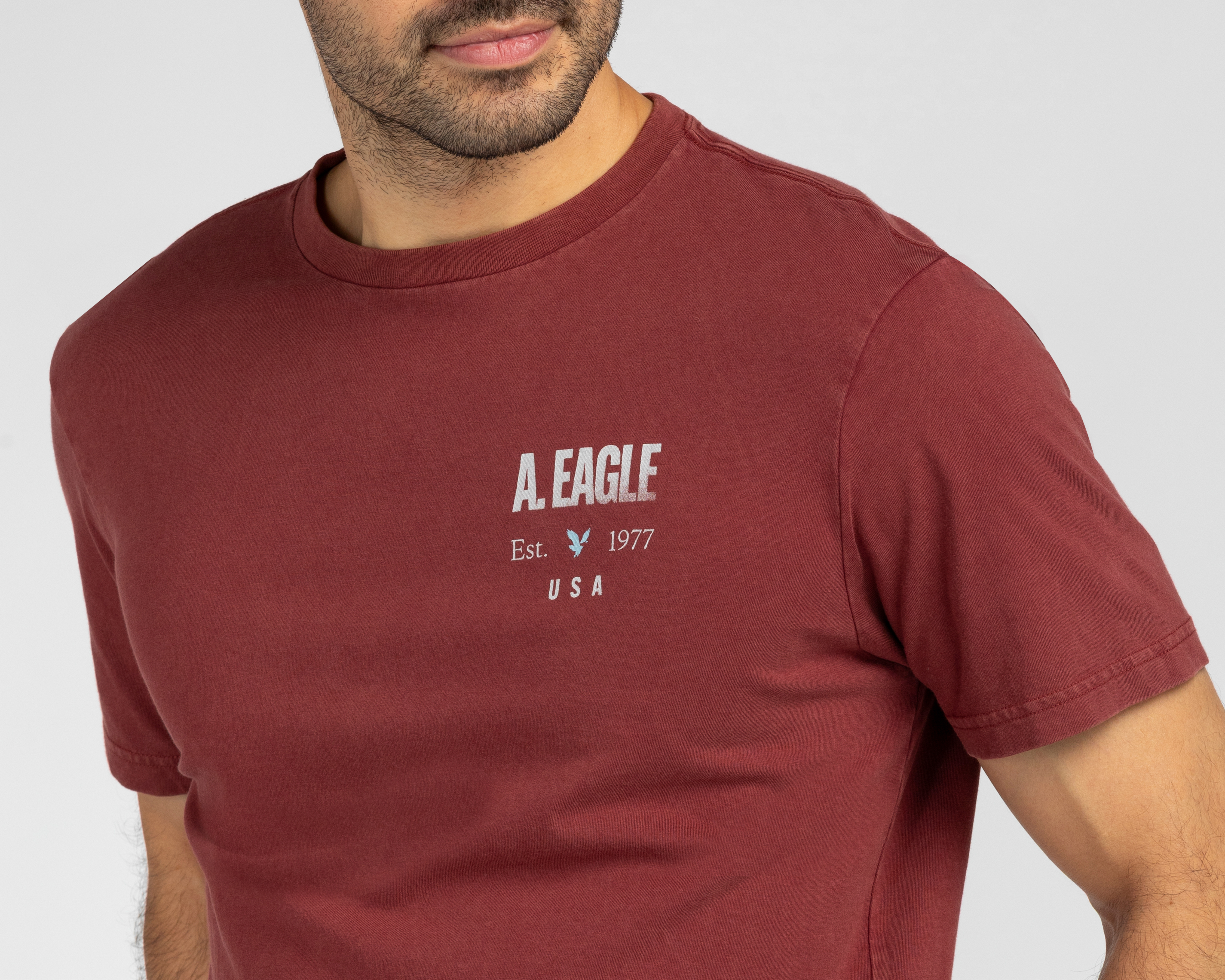 Foto 4 pulgar | Foto 3 | Playera de Cuello Redondo American Eagle para Hombre