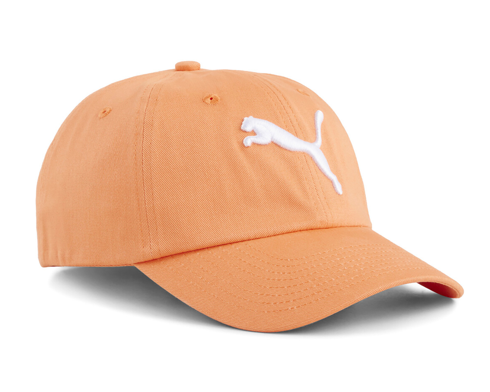 Gorra Curva Puma