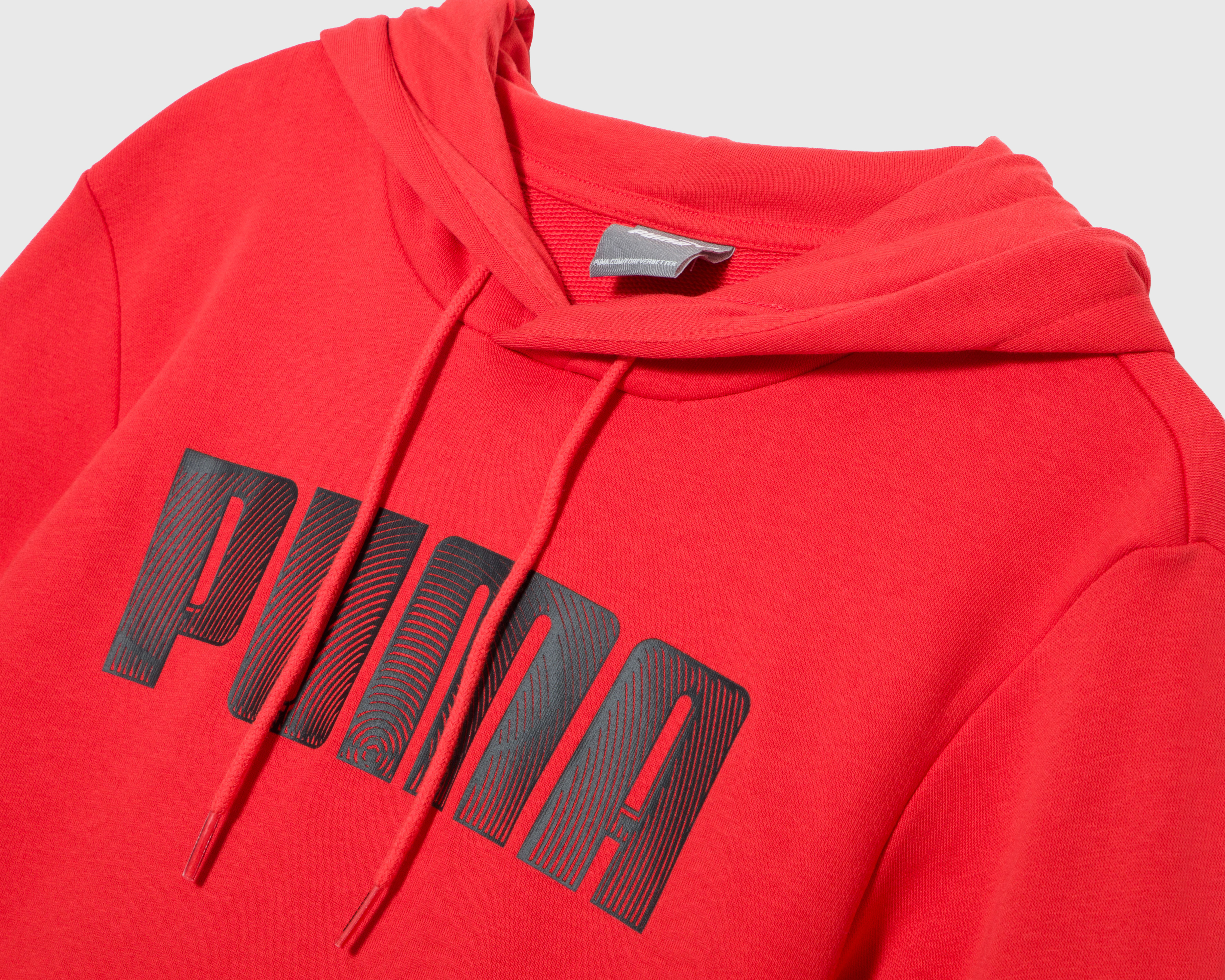 Foto 4 pulgar | Foto 3 | Sudadera con Capucha Puma para Hombre