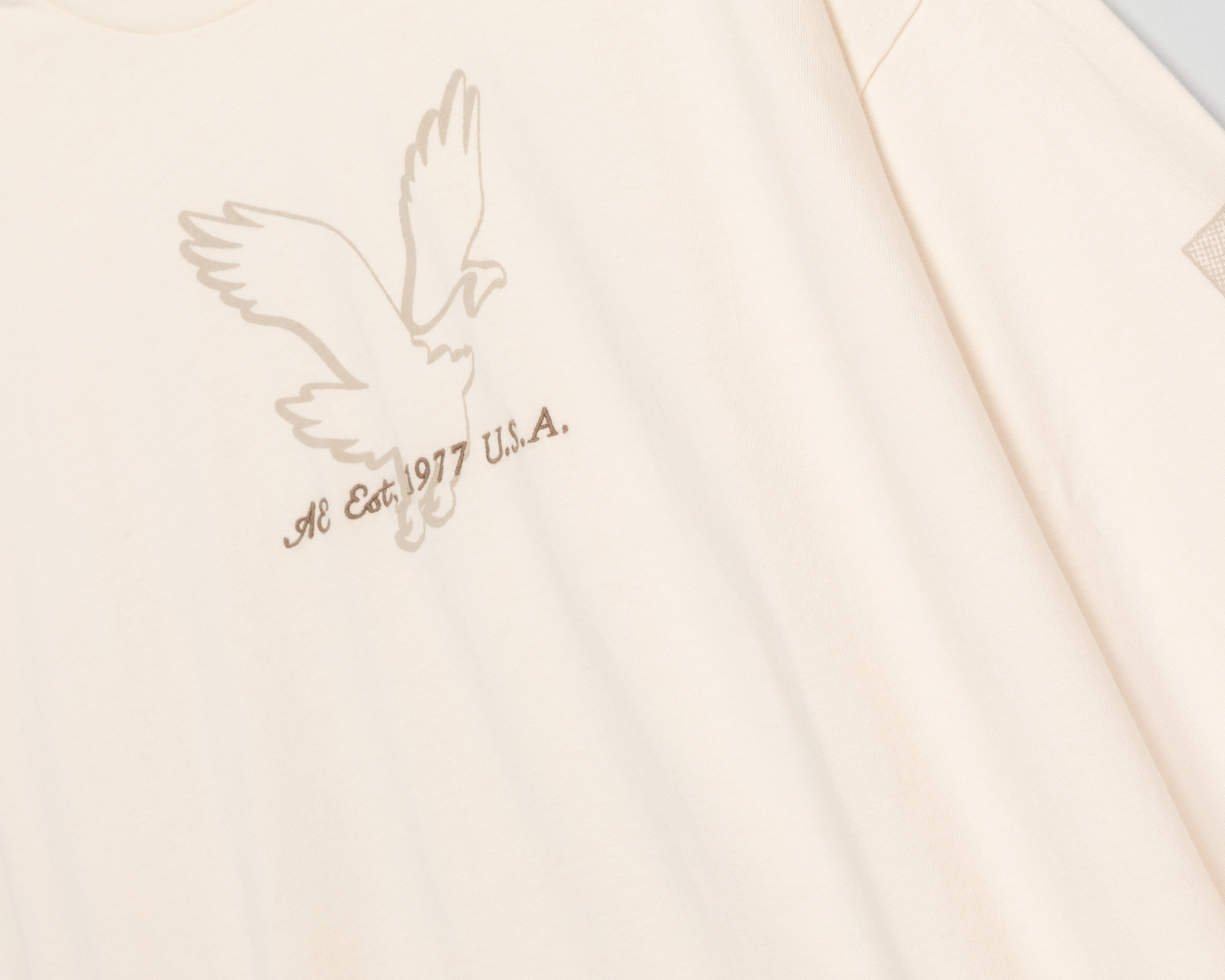 Foto 4 pulgar | Foto 3 | Playera Manga Larga American Eagle para Hombre