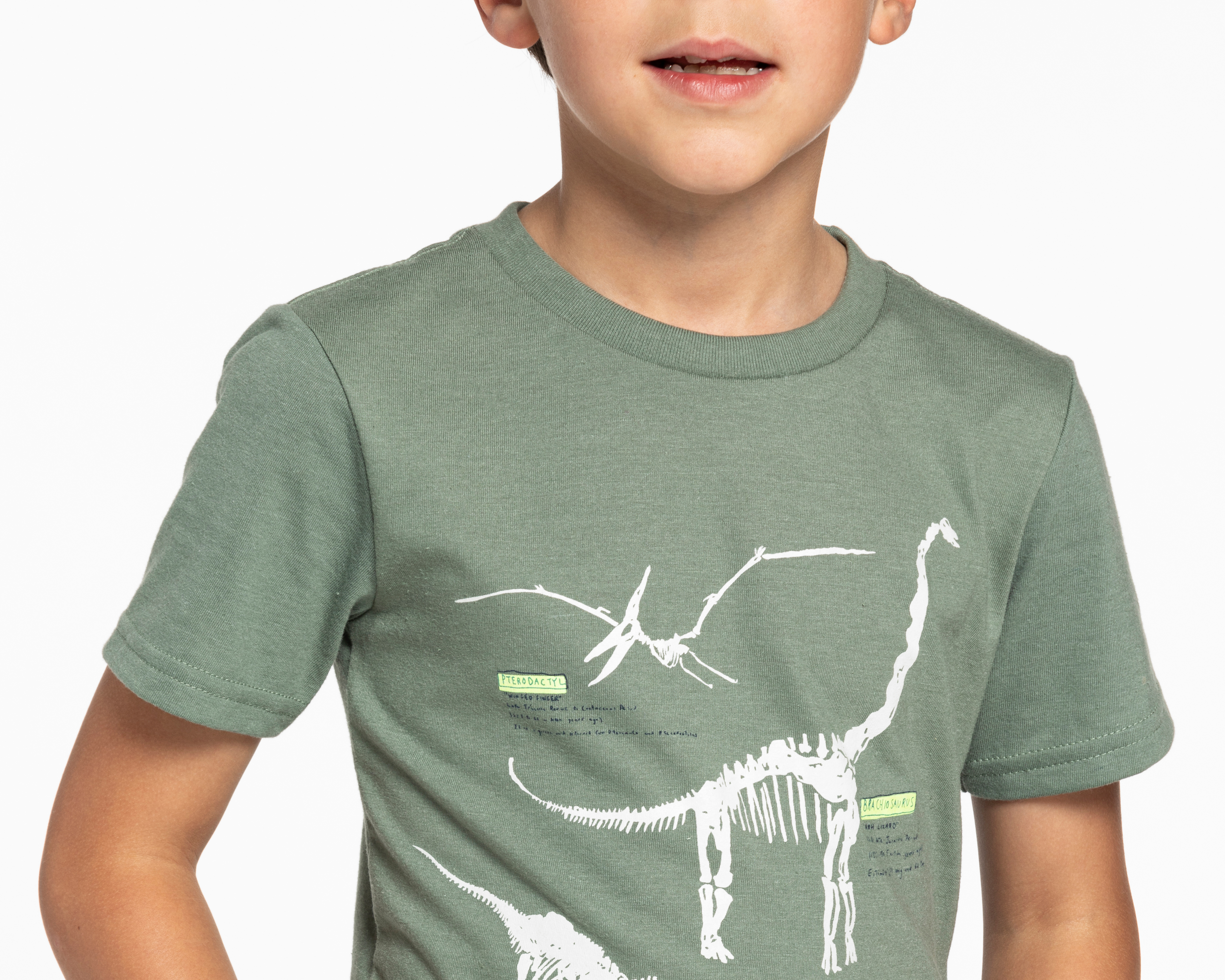 Foto 4 pulgar | Foto 3 | Playera Refill con Print de Dinosuarios para Niño