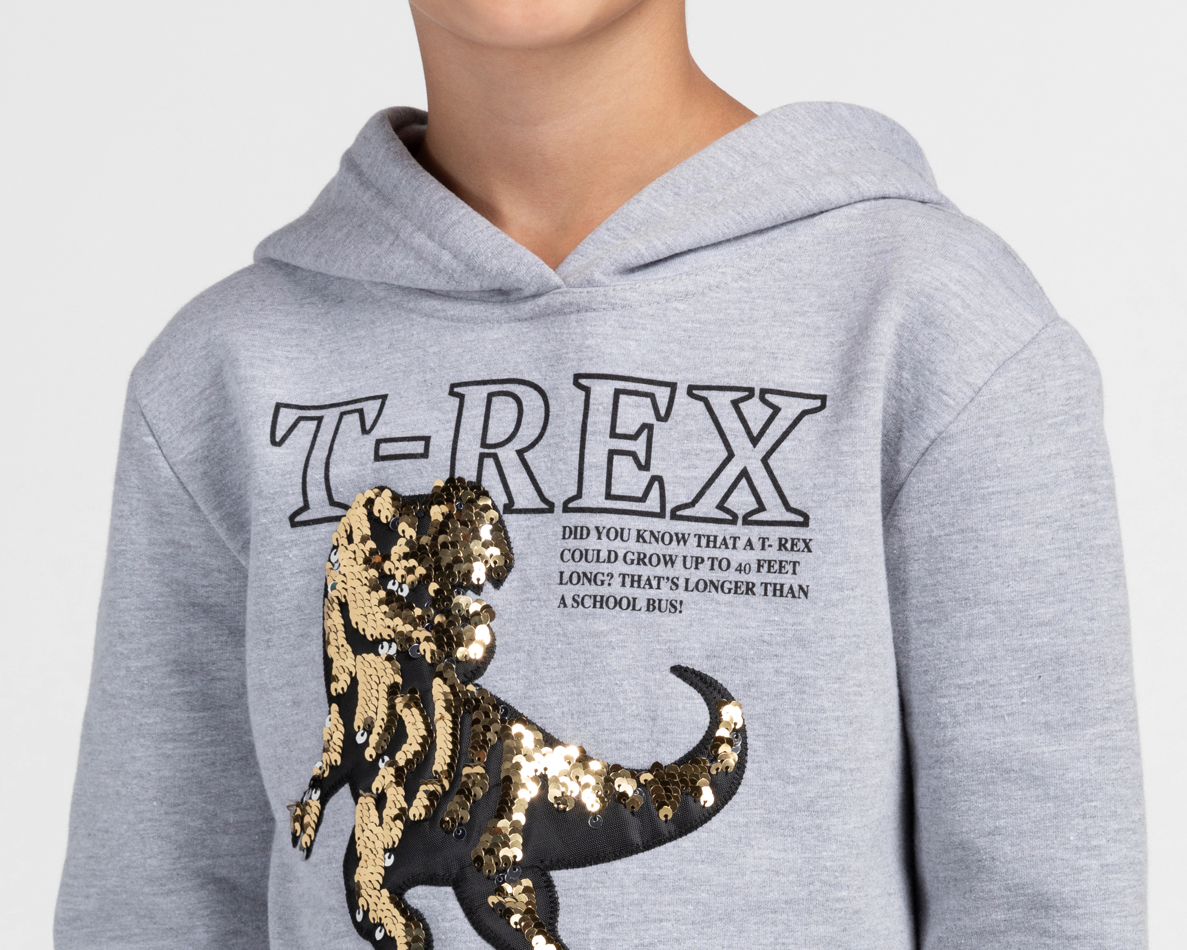 Foto 5 pulgar | Foto 4 | Sudadera con Gorro Refill T-Rex para Niño