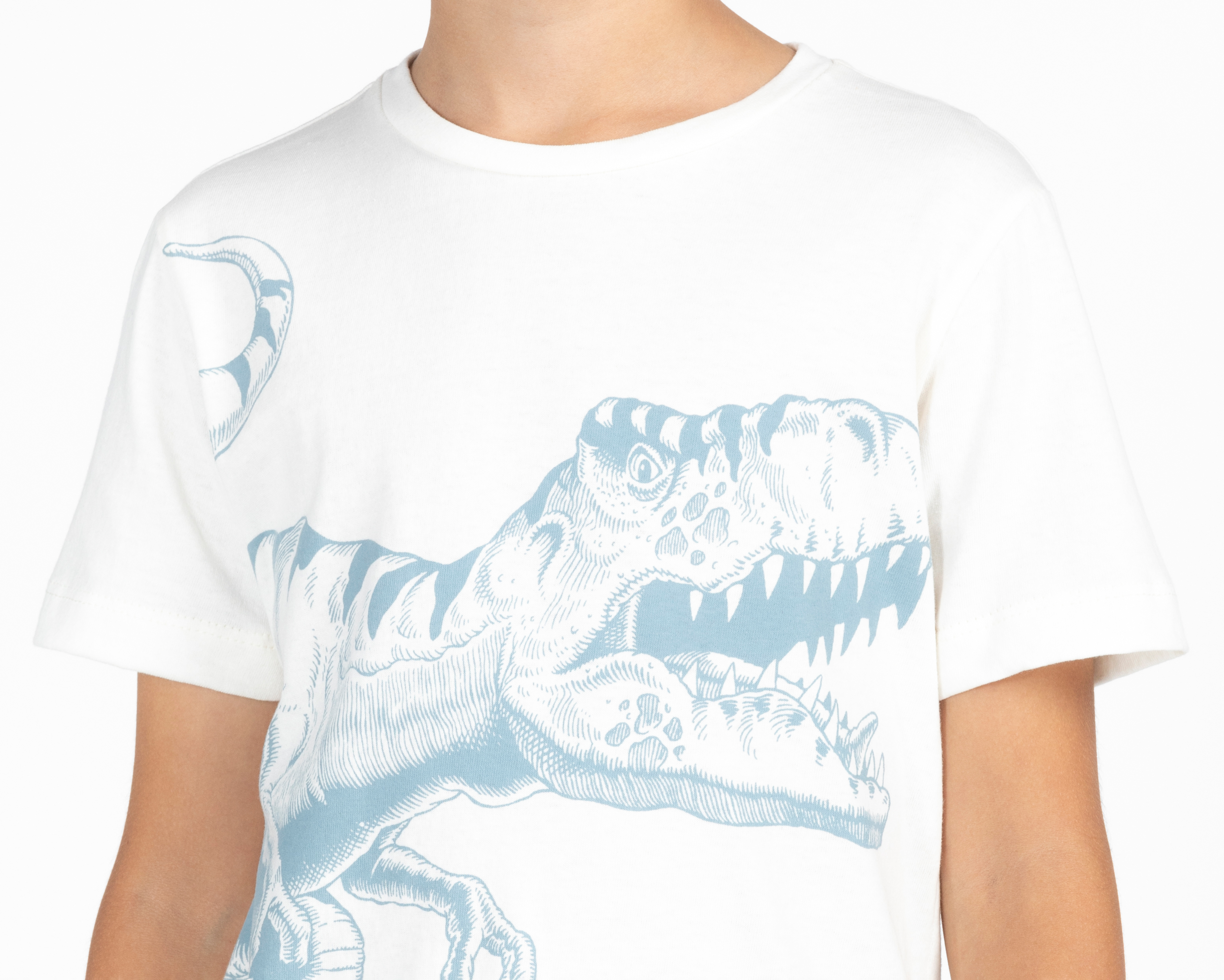 Foto 5 pulgar | Foto 4 | Playera Refill Manga Corta Dinosaurio para Niño