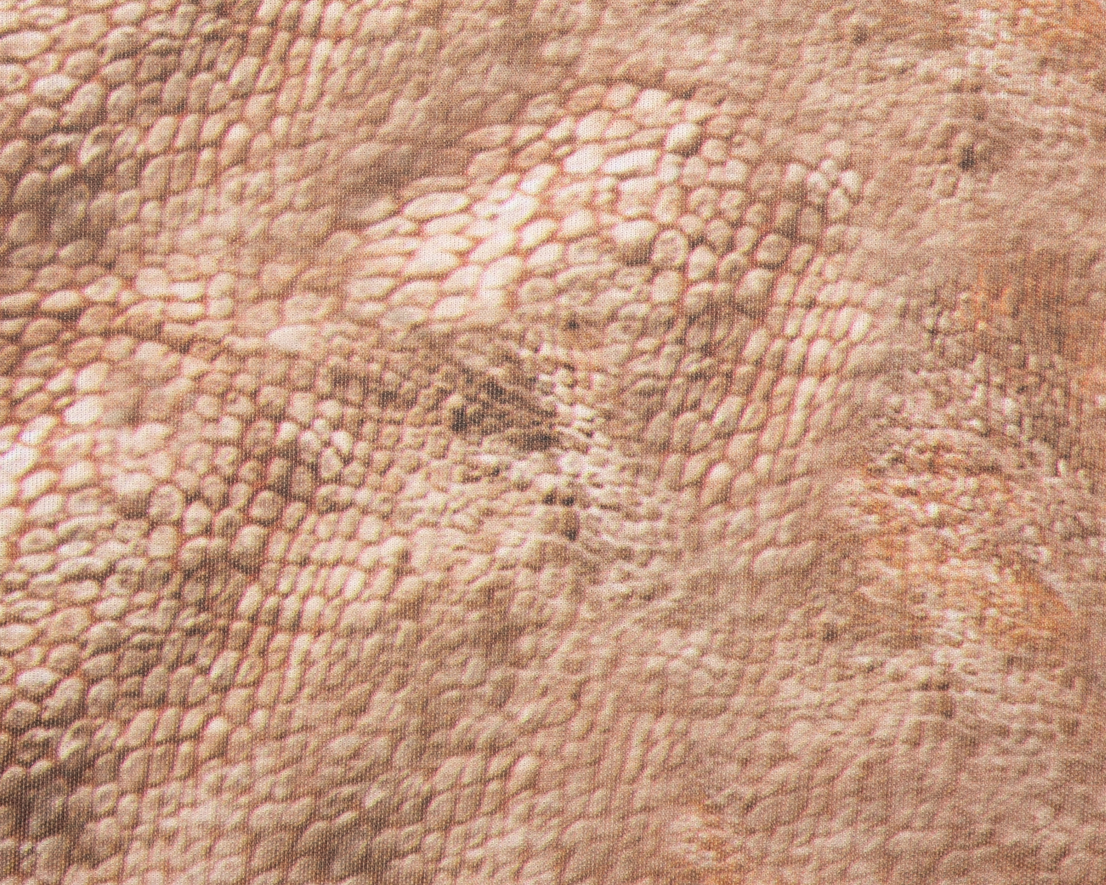 Foto 3 | Foto 3 | Disfraz de Tiranosaurio Rex Jurassic World para Niño