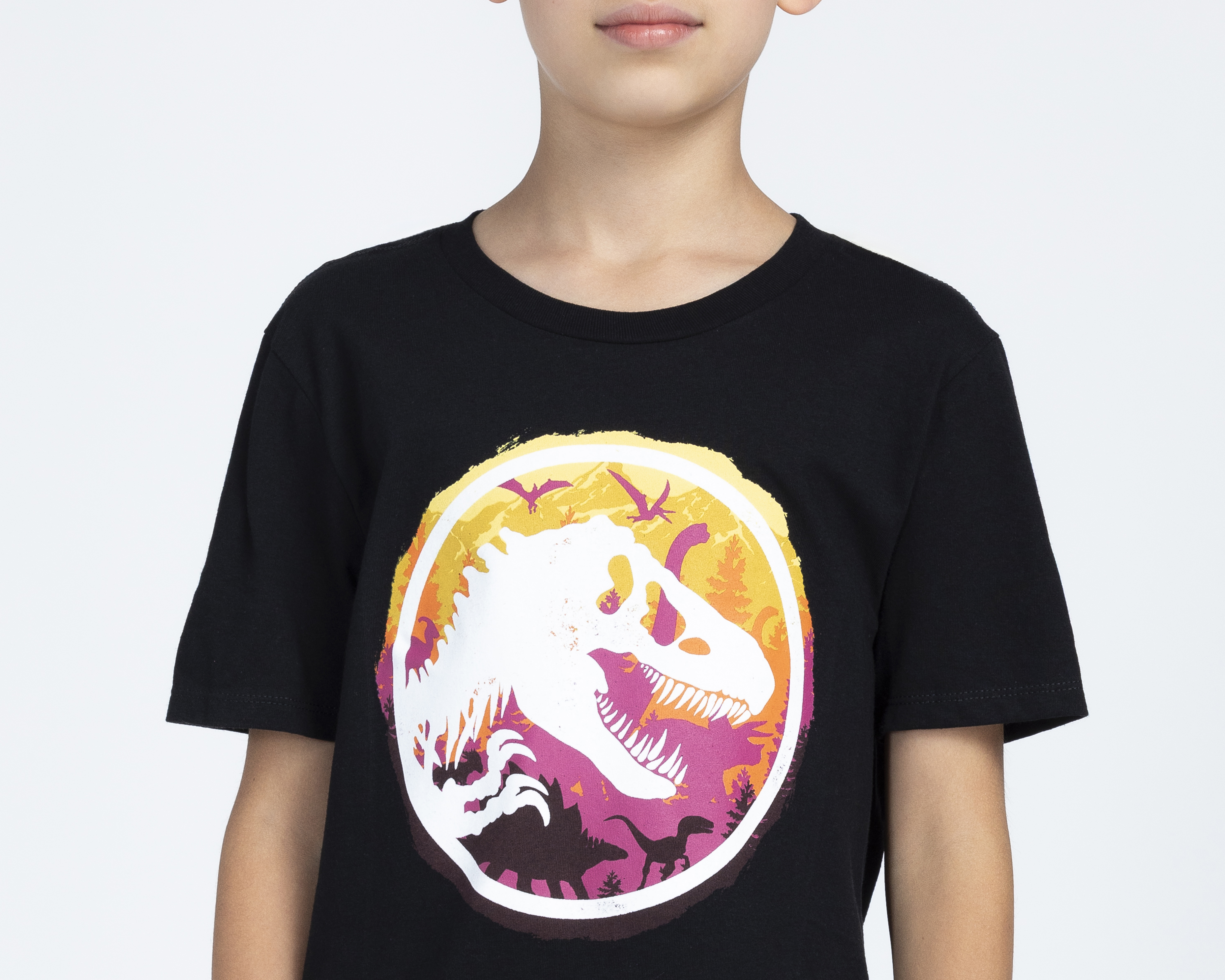Foto 4 pulgar | Foto 3 | Playera de Cuello Redondo Negra Jurassic Park para Niño